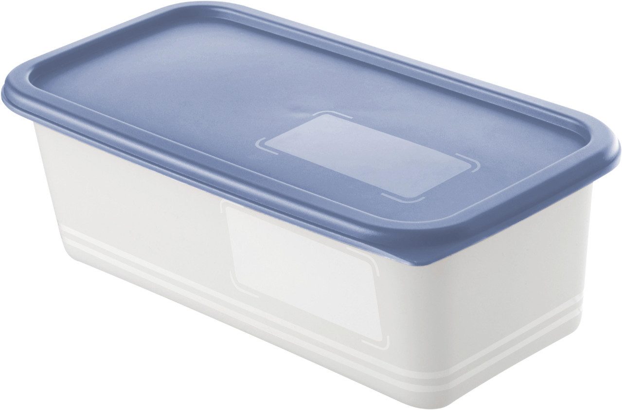 ROTHO Vorratsdose Rotho Gefrierdosen-Set Domino 3 x 1,2 l horizon, Kunststoff