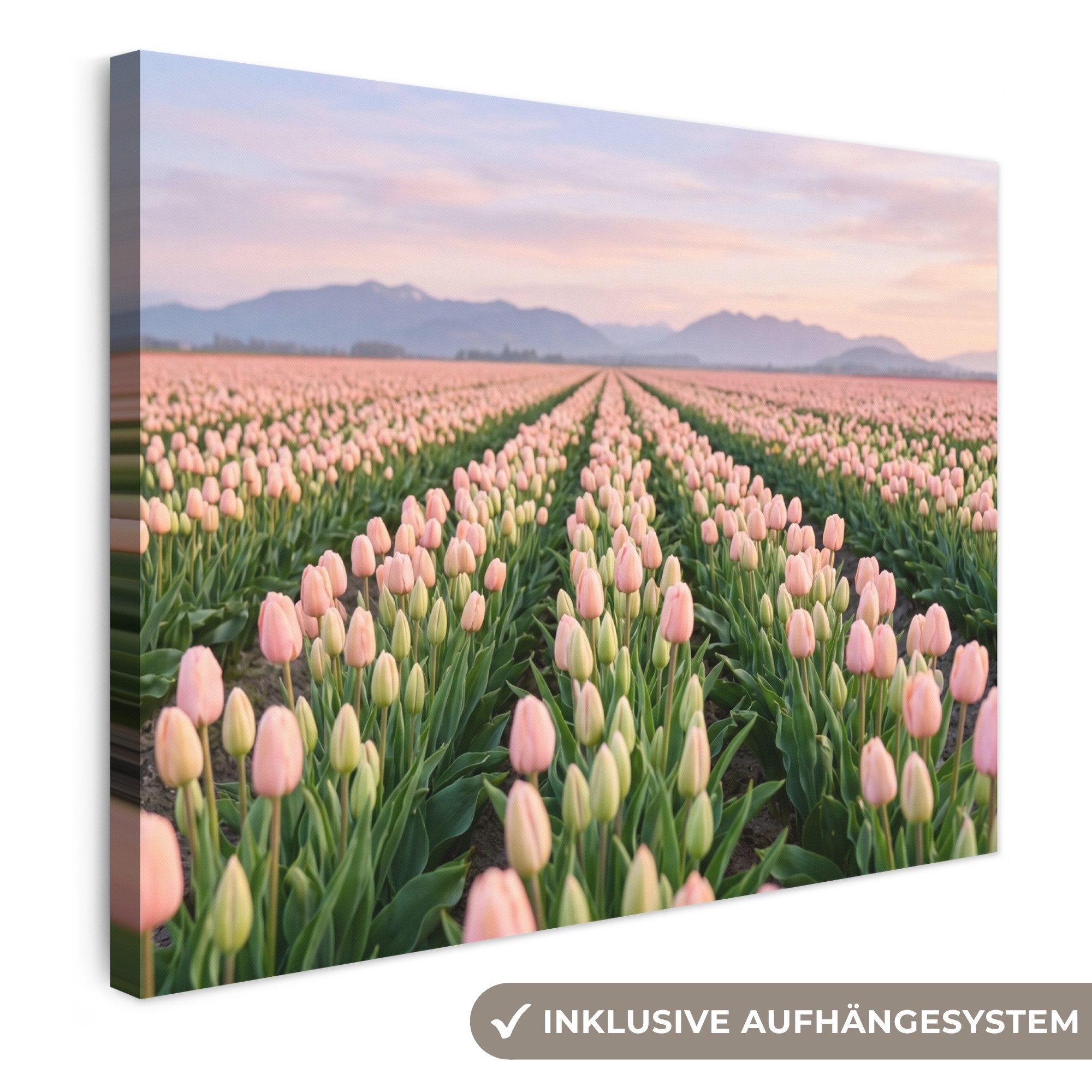 OneMillionCanvasses® Leinwandbild Tulpen - Landschaft - Rosa, Fotodruck (1 St), Wandbild Leinwandbilder, Aufhängefertig, Wanddeko 40x30 cm
