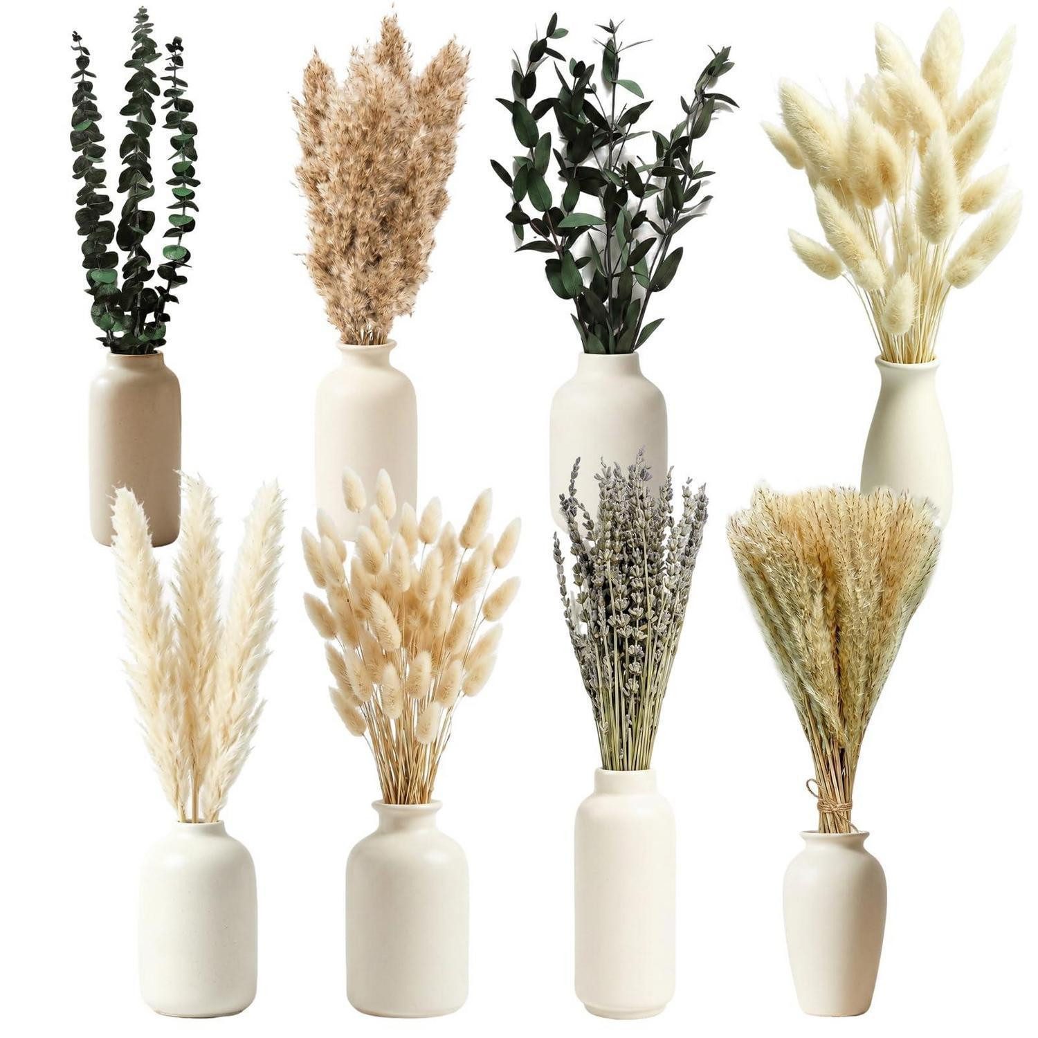 Trockenblume Trockenblumen Pampasgras Deko 100 Stück Set, LuxusKollektion, Höhe 10 cm