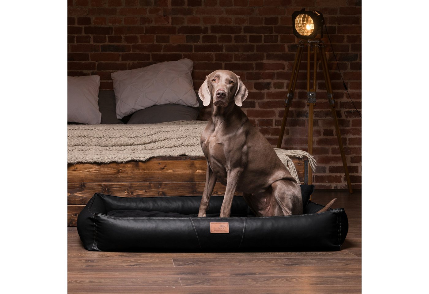 Thumbnail - tierlando® Tierbett Orthopädische Hundematratze CLIFFORD LATEX SOFT Kunstleder Velours, Anti-Haar Kunstleder, Schmutz- u...