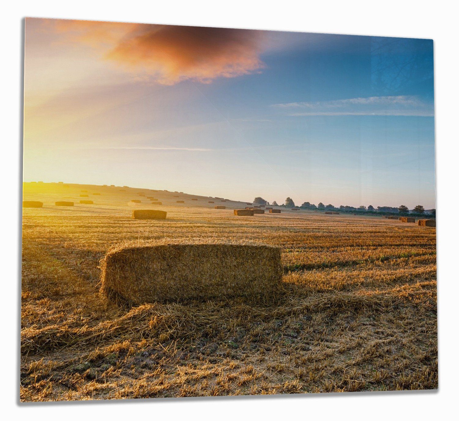 Wallario Herd-Abdeckplatte Stroh auf dem Feld bei untergehender Sonne, ESG-Sicherheitsglas, (Glasplatte, 1 tlg., inkl. 5mm Noppen), verschiedene Größen