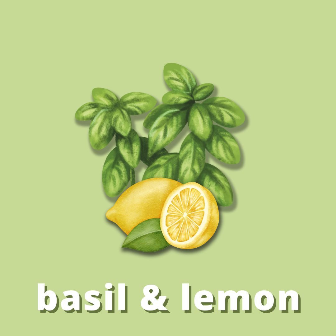 Thumbnail - DistrEbution Duftöl Basil & Lemon Duftstoff für Kerzen & Seifen