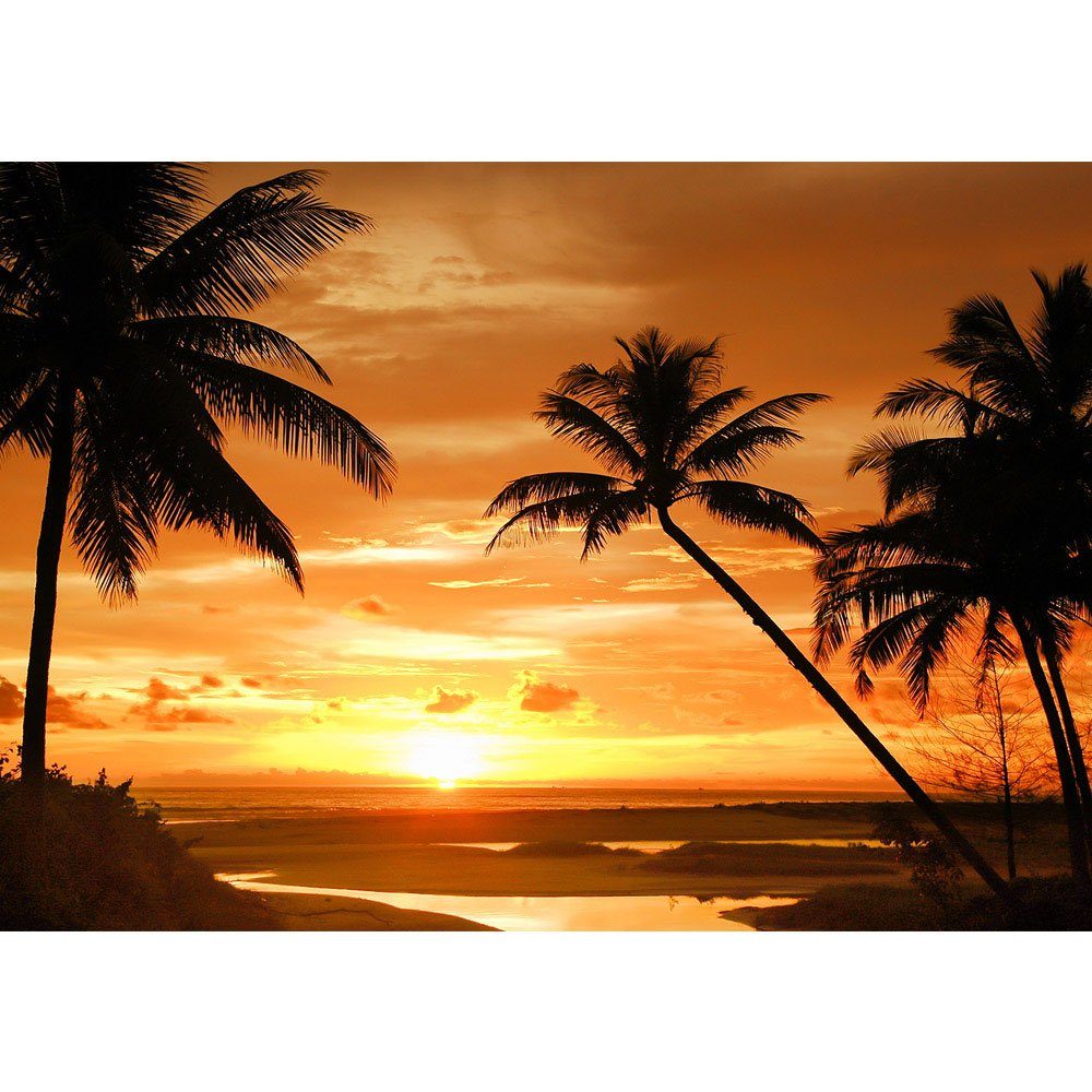 Meer Fototapete liwwing liwwing Palmen Sonnenuntergang Horizont Fototapete no. 2590, Strand Sonnenuntergang