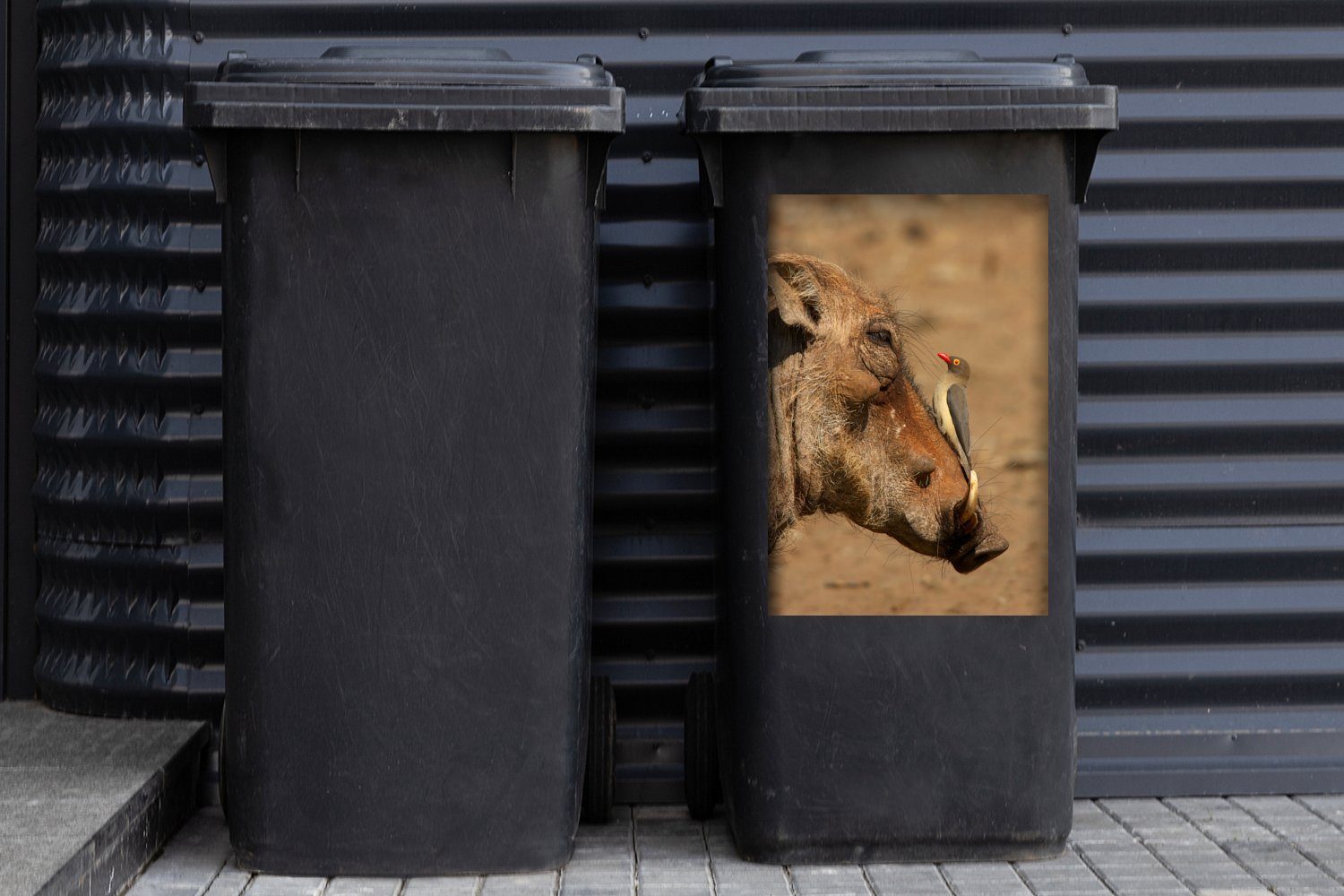 Mülltonne, - (1 St), Sticker, Vogel - Wandsticker Wüste MuchoWow Container, Abfalbehälter Mülleimer-aufkleber, Wildschwein