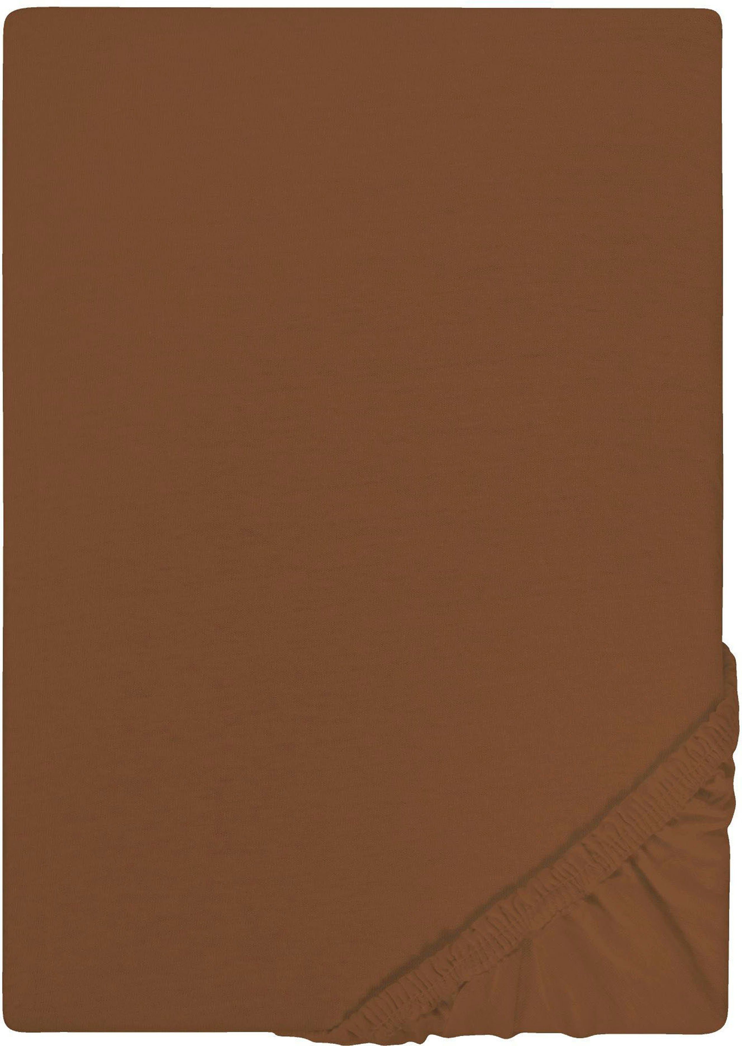 Castell - Markenbettwäsche Spannbettlaken Jersey in Gr. 90x200, 140x200 oder 180x200 cm, Jersey, Gummizug: rundum, (1 Stück), aus Baumwolle, für Matratzen bis 22 cm Höhe, Bettlaken, Spannbetttuch