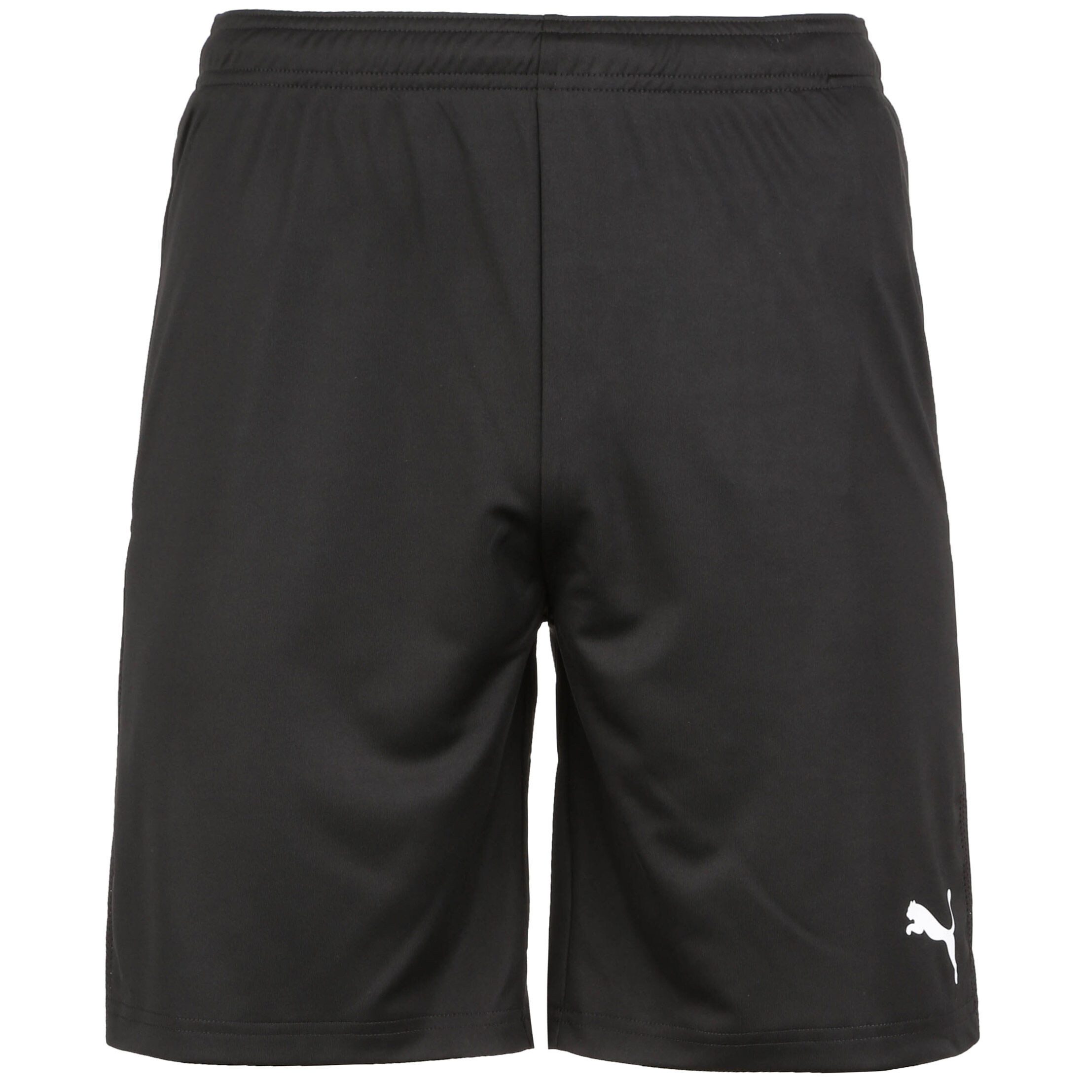 PUMA Trainingsshorts TeamGoal 23 Knit Trainingsshort Herren