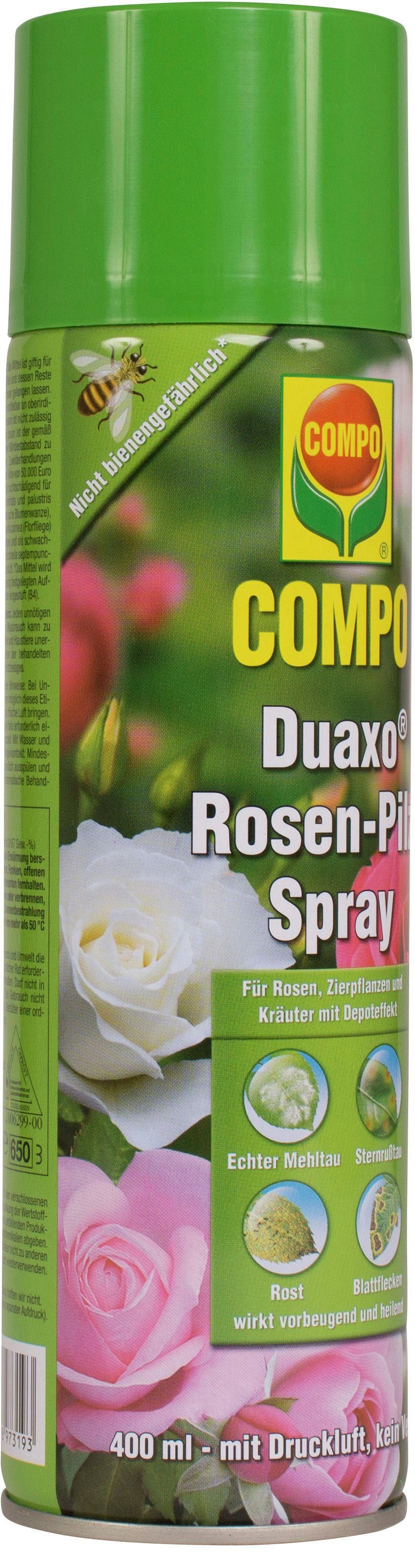 Compo Pflanzen-Pilzfrei »Duaxo Rosen-Pilz Spray«, 400 ml online kaufen |  OTTO