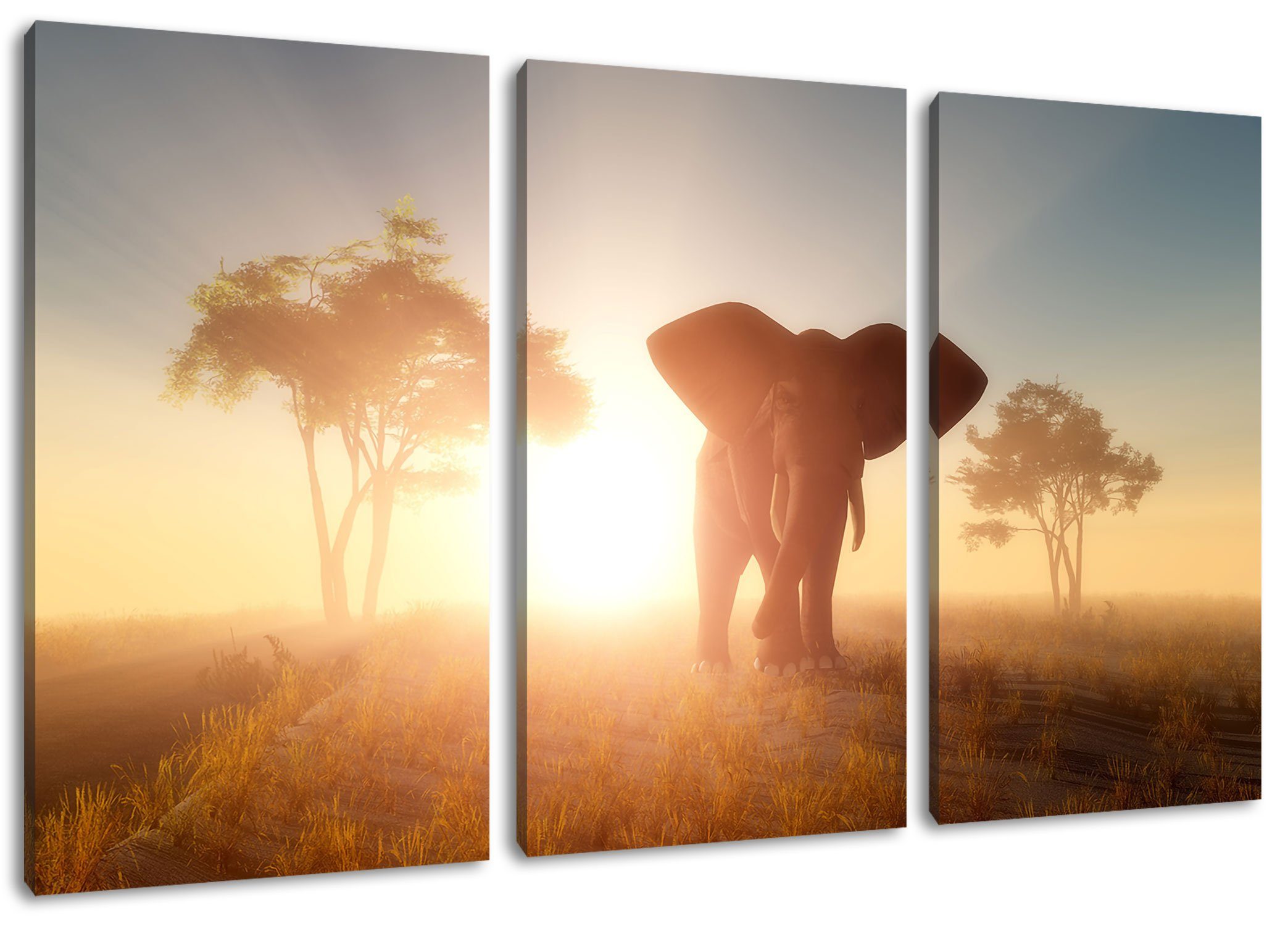 (120x80cm) Leinwandbild der Pixxprint (1 Elefant Wüste 3Teiler der fertig bespannt, inkl. in Elefant Leinwandbild Wüste, Zackenaufhänger in St),