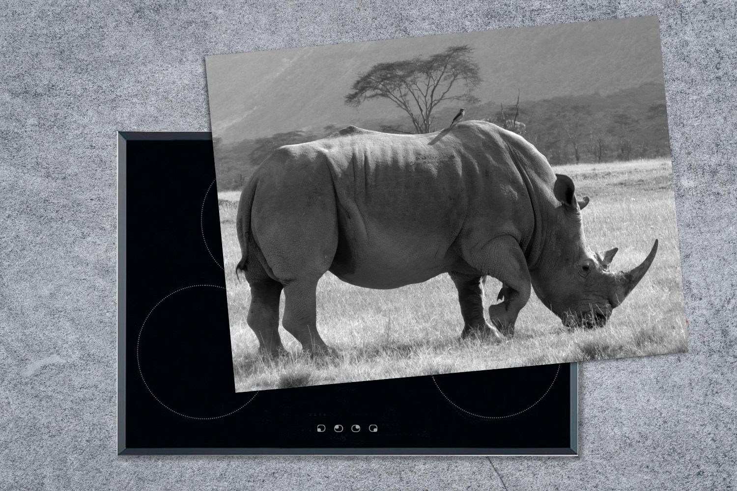 MuchoWow Herdblende-/Abdeckplatte Breitmaulnashorn tlg), Ceranfeldabdeckung weiß, Vinyl, und Nakuru-See 70x52 Arbeitsfläche cm, schwarz nutzbar, Mobile im - (1