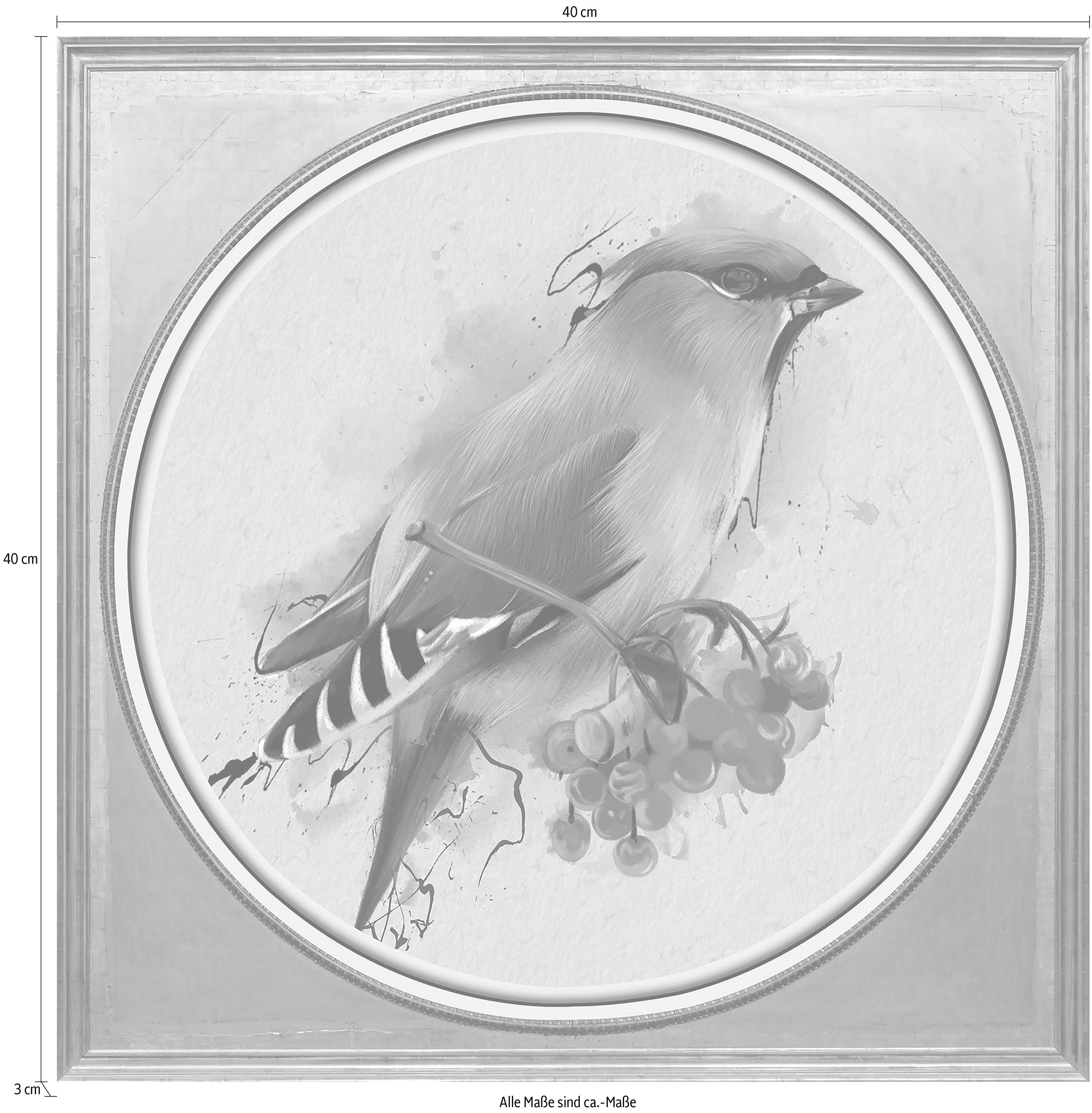 Bunter Acrylglasbild queence Vogel I