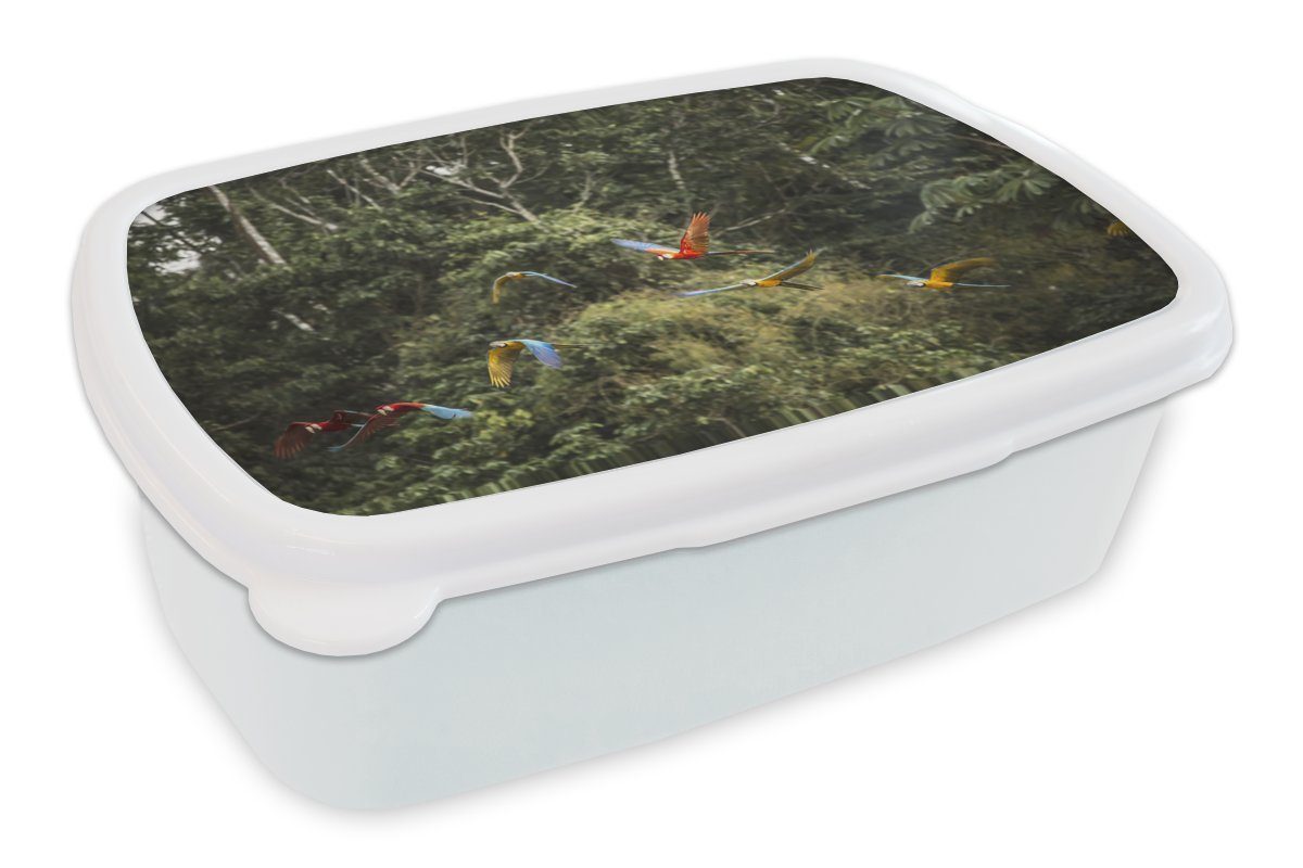 und MuchoWow Papageien Wald, für Kunststoff, für und weiß - Brotbox Jungs Kinder Fliegen Lunchbox - Brotdose, (2-tlg), Erwachsene, Mädchen