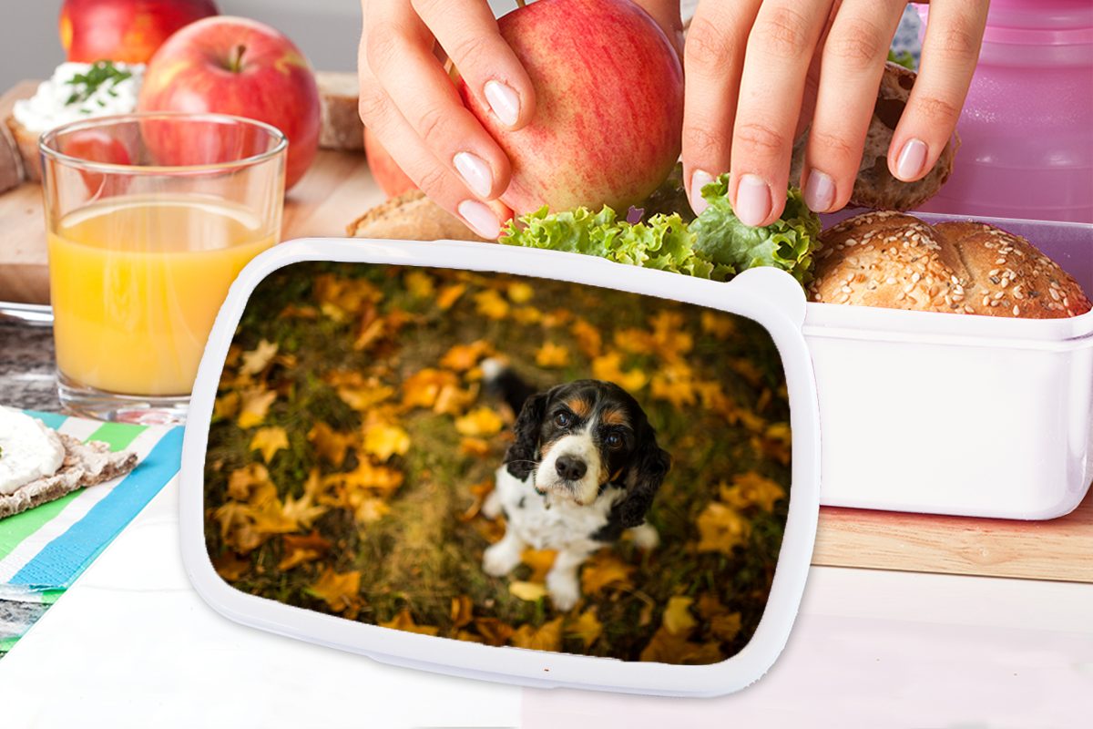 MuchoWow Lunchbox Cavalier King Charles weiß zwischen (2-tlg), Erwachsene, orangefarbenen, Jungs und Kinder Mädchen gelben Brotdose, für Kunststoff, Spaniel und für Brotbox und