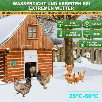 Randaco Hühnerstall Automatische Hühnertür Hühnerklappe Hühnerstall Führungsräder 60x30cm
