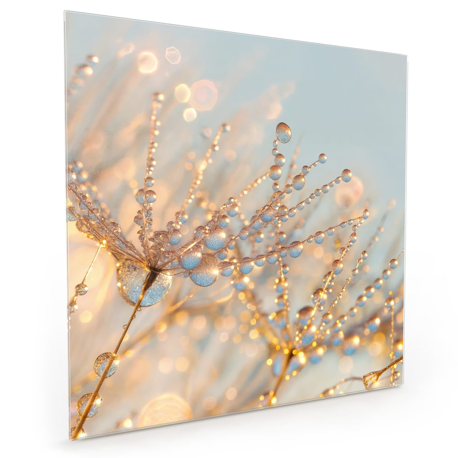 Primedeco Küchenrückwand Spritzschutz, Herdblende aus Glas - Motiv Tautropf günstig online kaufen