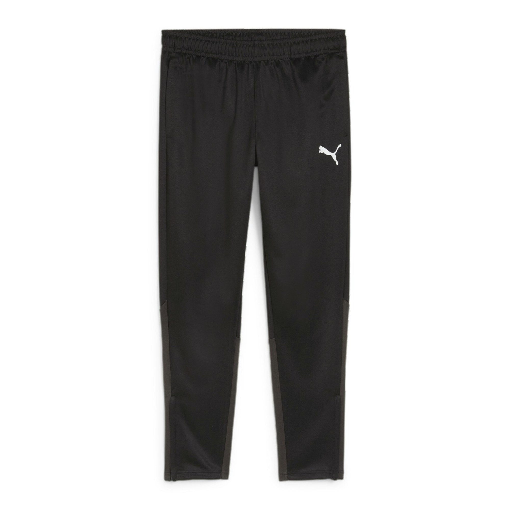PUMA Trainingshose Puma Herren Trainingshose teamGOAL günstig online kaufen