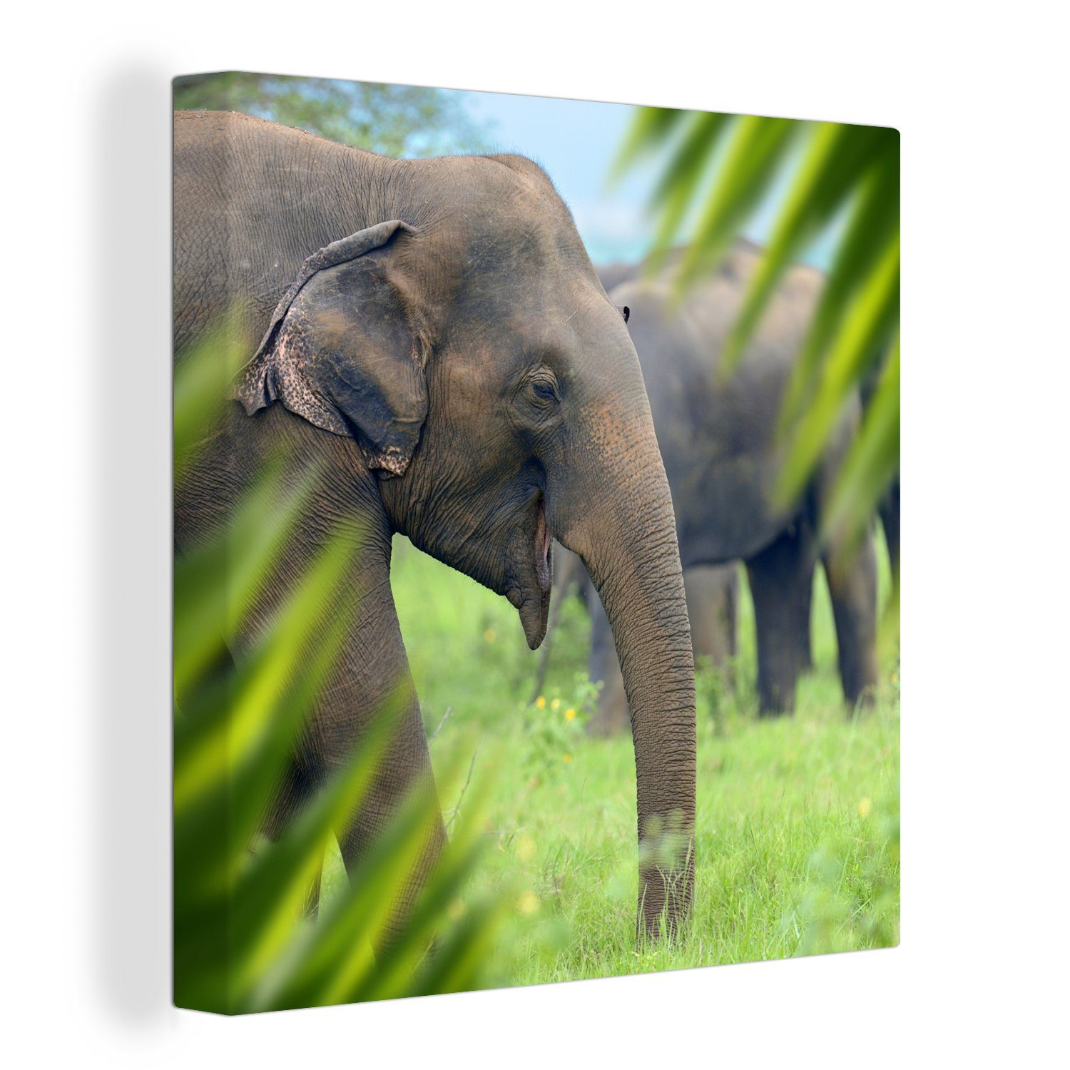 OneMillionCanvasses® Leinwandbild Elefant - Palme - Tiere, (1 St), Leinwand Bilder für Wohnzimmer Schlafzimmer | Leinwandbilder