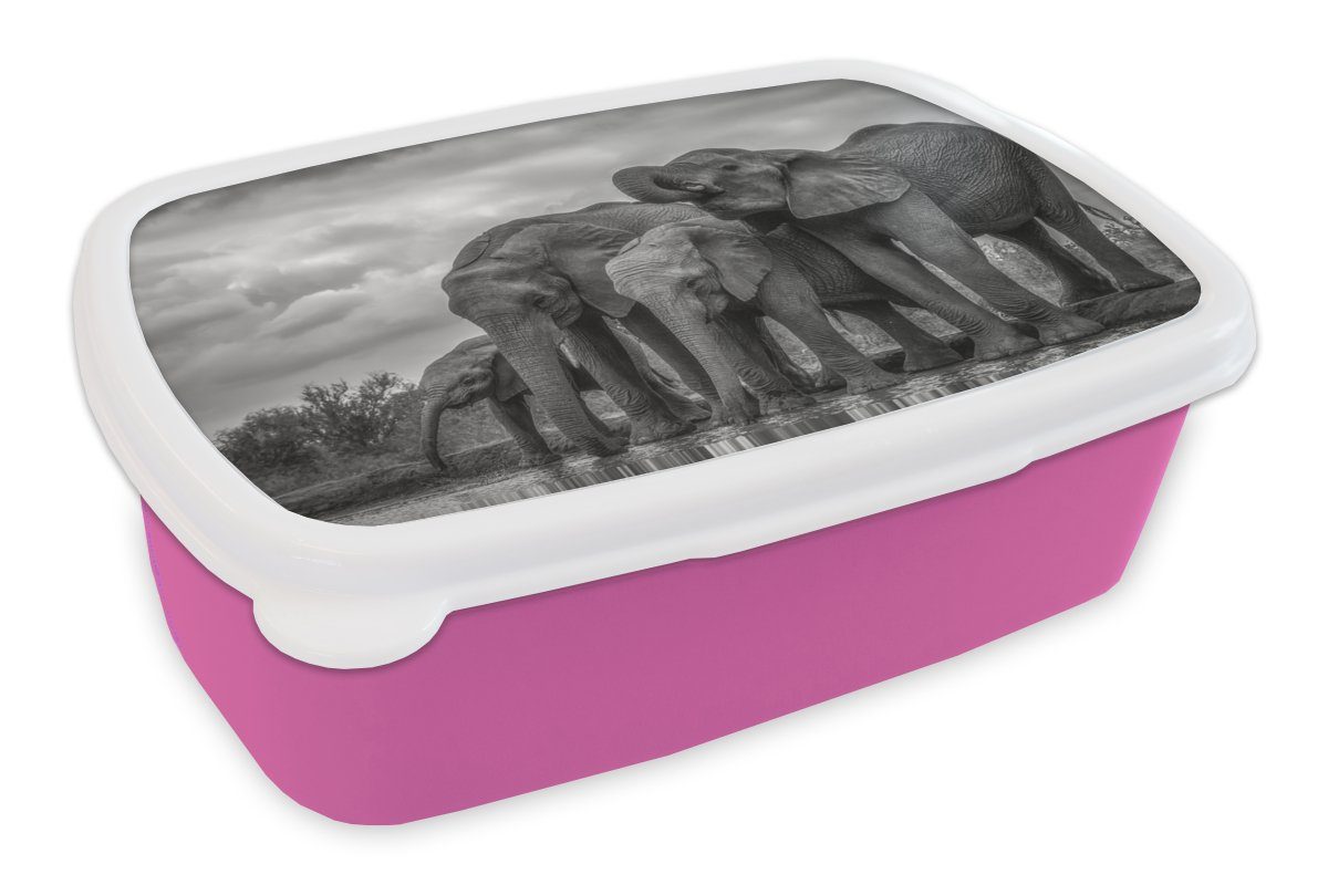 MuchoWow Lunchbox Elefant Schwarz Erwachsene, Tiere weiß, Kunststoff, Kunststoff für Brotdose Mädchen, und Kinder, - (2-tlg), Brotbox rosa Wasser - - Snackbox