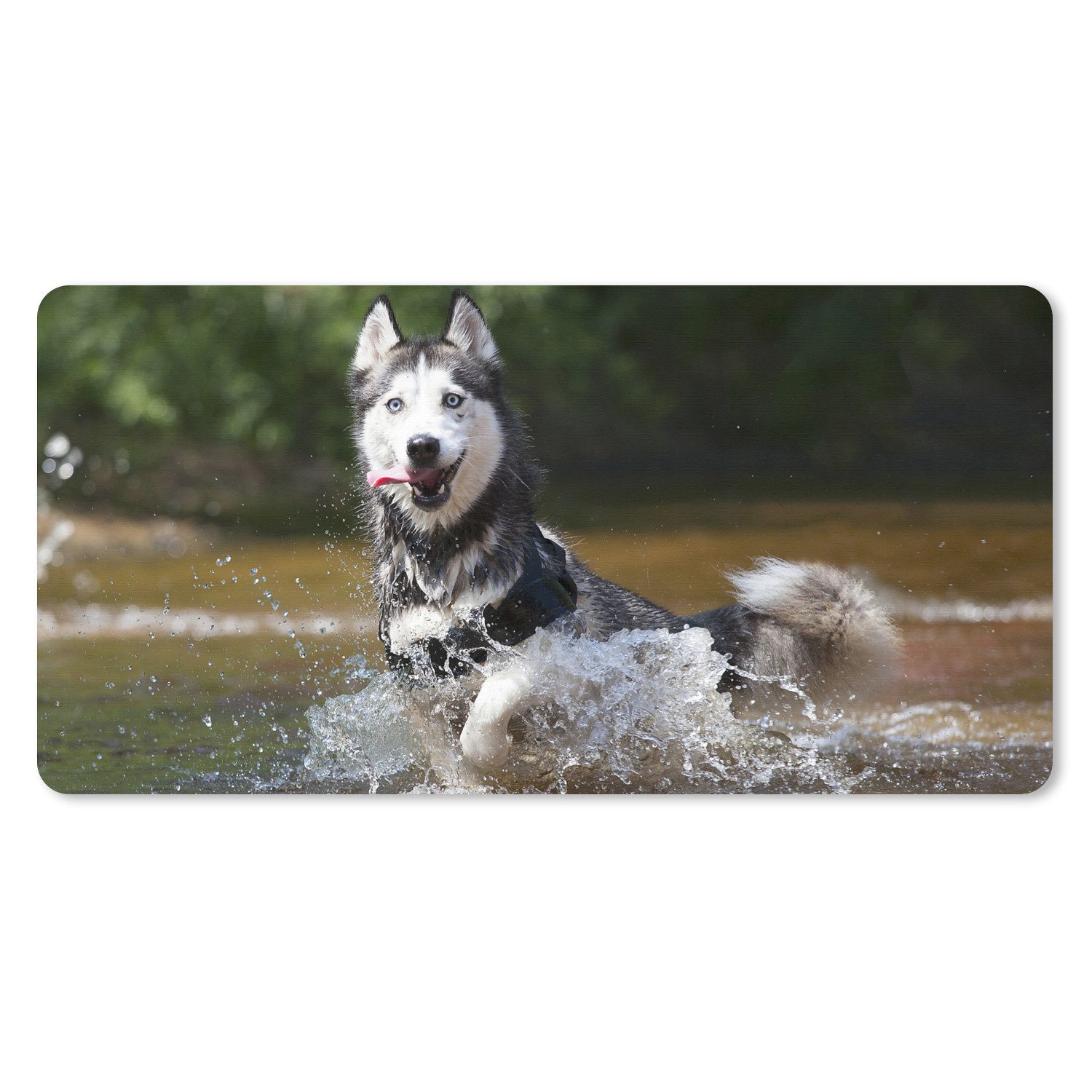 MuchoWow Mauspad Husky im Wasser (1-St), Mousepad mit Rutschfester Unterseite, Gaming XXL, Großes, 120x60 cm
