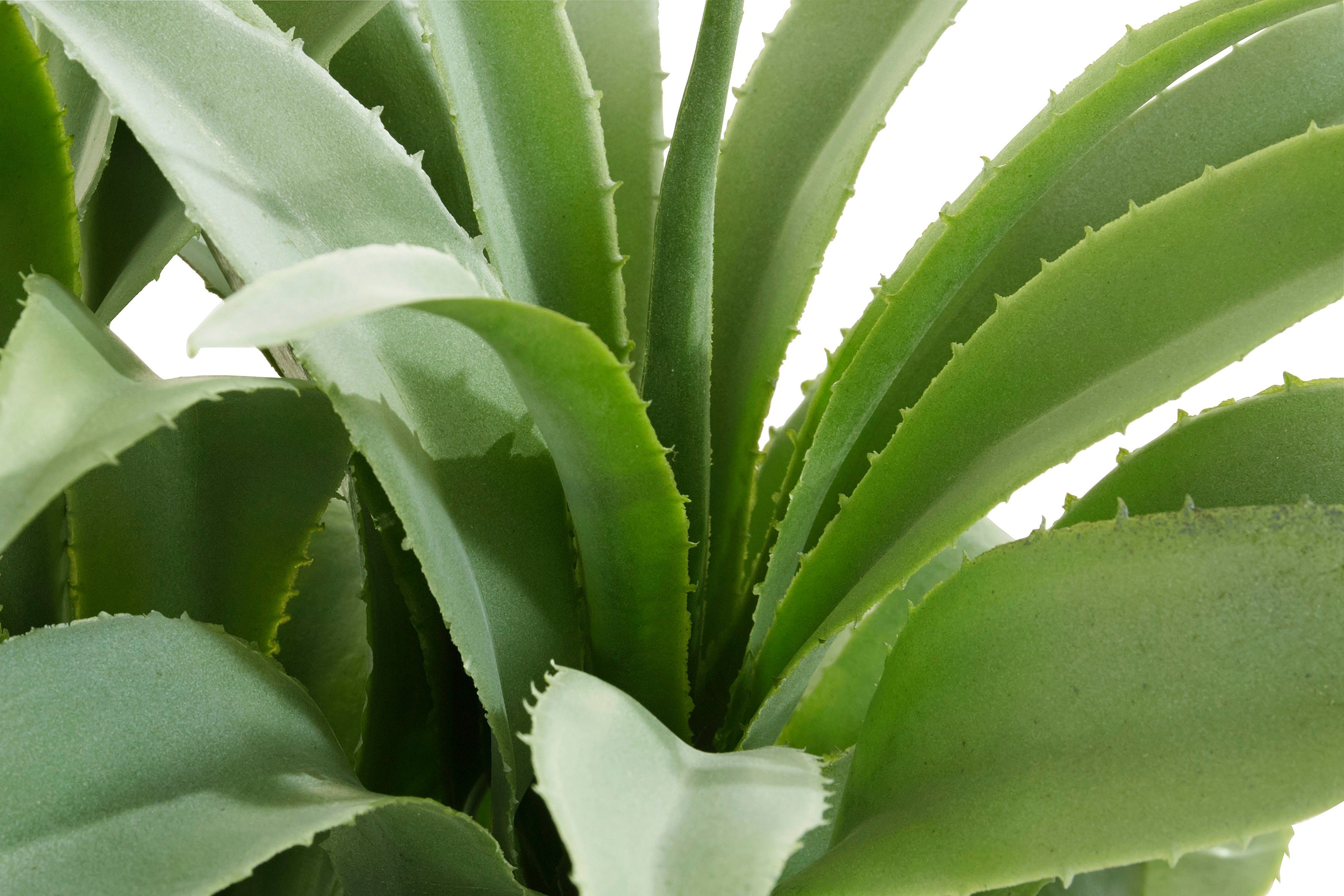 Kunstpflanze Agatelo Agave, Guido Maria Kretschmer Home&Living, Höhe 25 cm, Sukkulente, im Topf