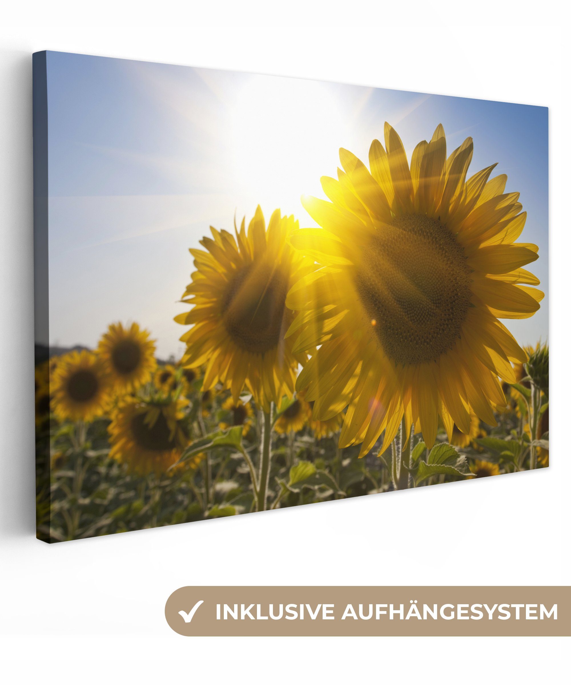 OneMillionCanvasses® Leinwandbild Nahaufnahme von Sonnenblumen auf dem Feld, (1 St), Wandbild Leinwandbilder, Aufhängefertig, Wanddeko, 30x20 cm