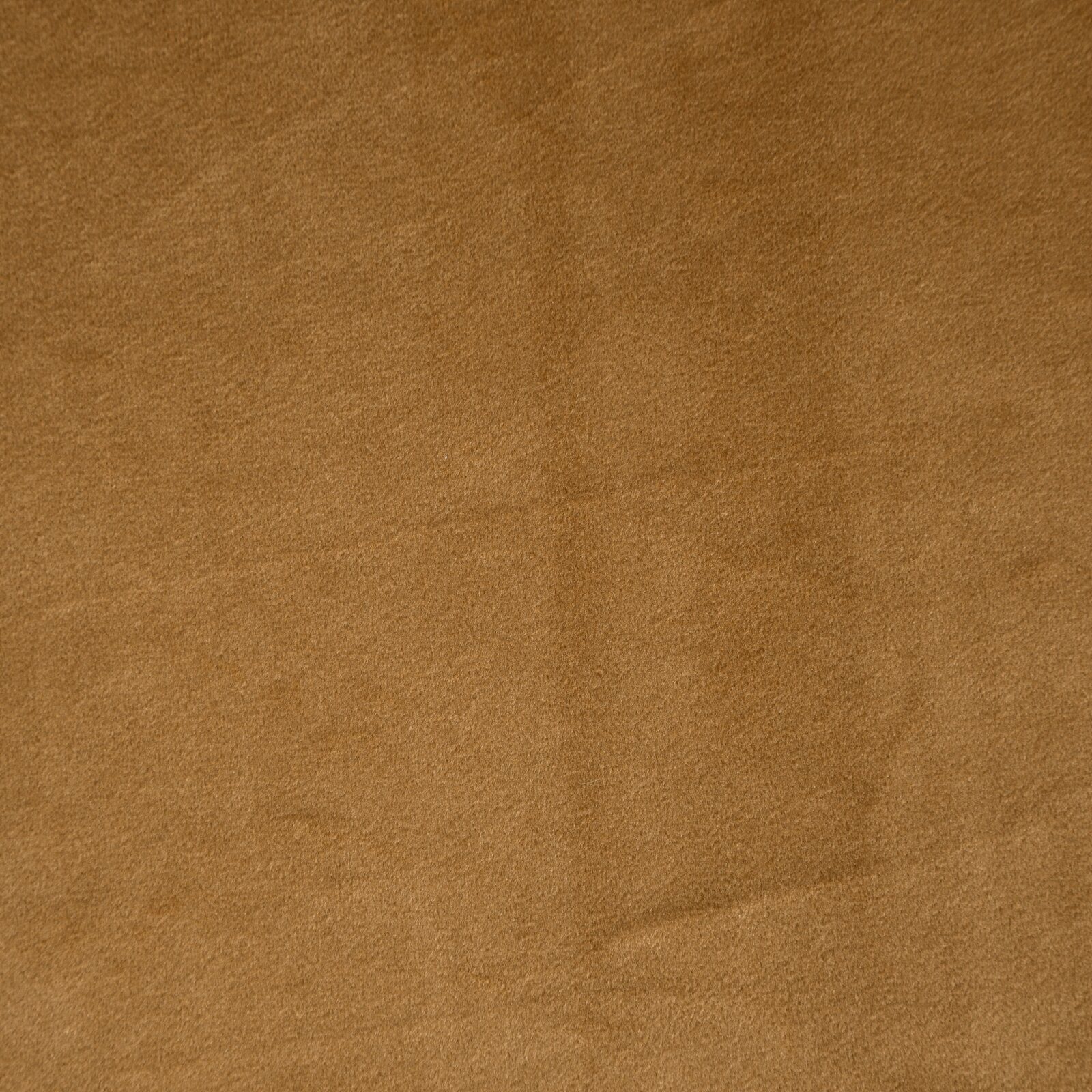 Design91 Vorhang Samtvorhänge Wohnzimmer Schlafzimmer Blickdicht Ösen Velou günstig online kaufen