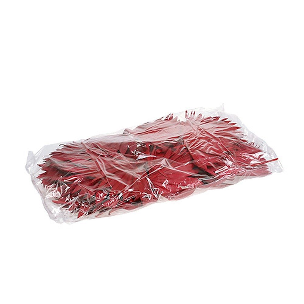 Trockenblume Palmspear Sun mini Rot 50 St Deko Gesteck Trauerfloristik, 50 Stück, Florists Products, Höhe 7.5 cm