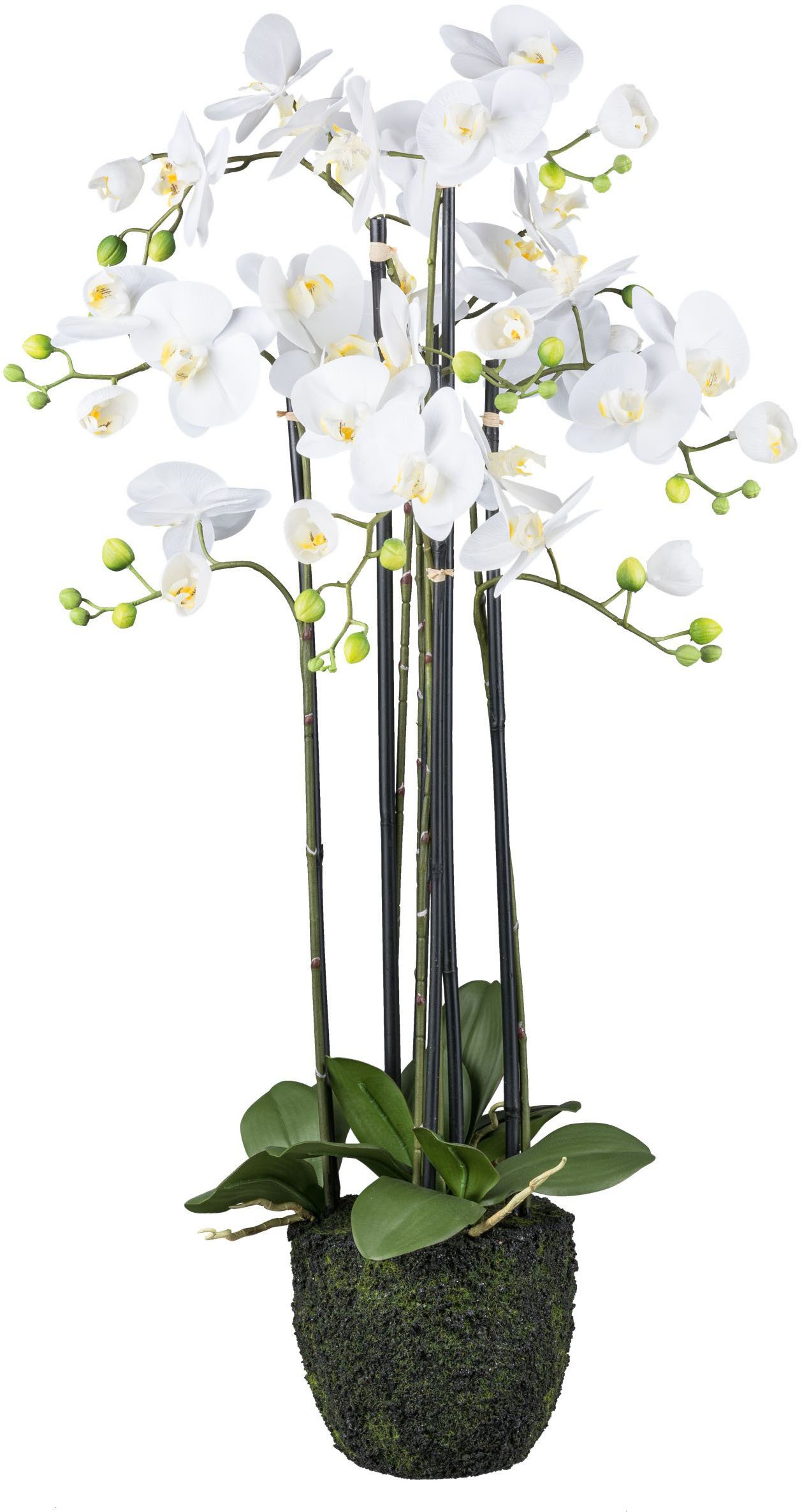 Kunstorchidee Orchidee Phalaenopsis, Creativ green, Höhe 93 cm, im Erdballe günstig online kaufen