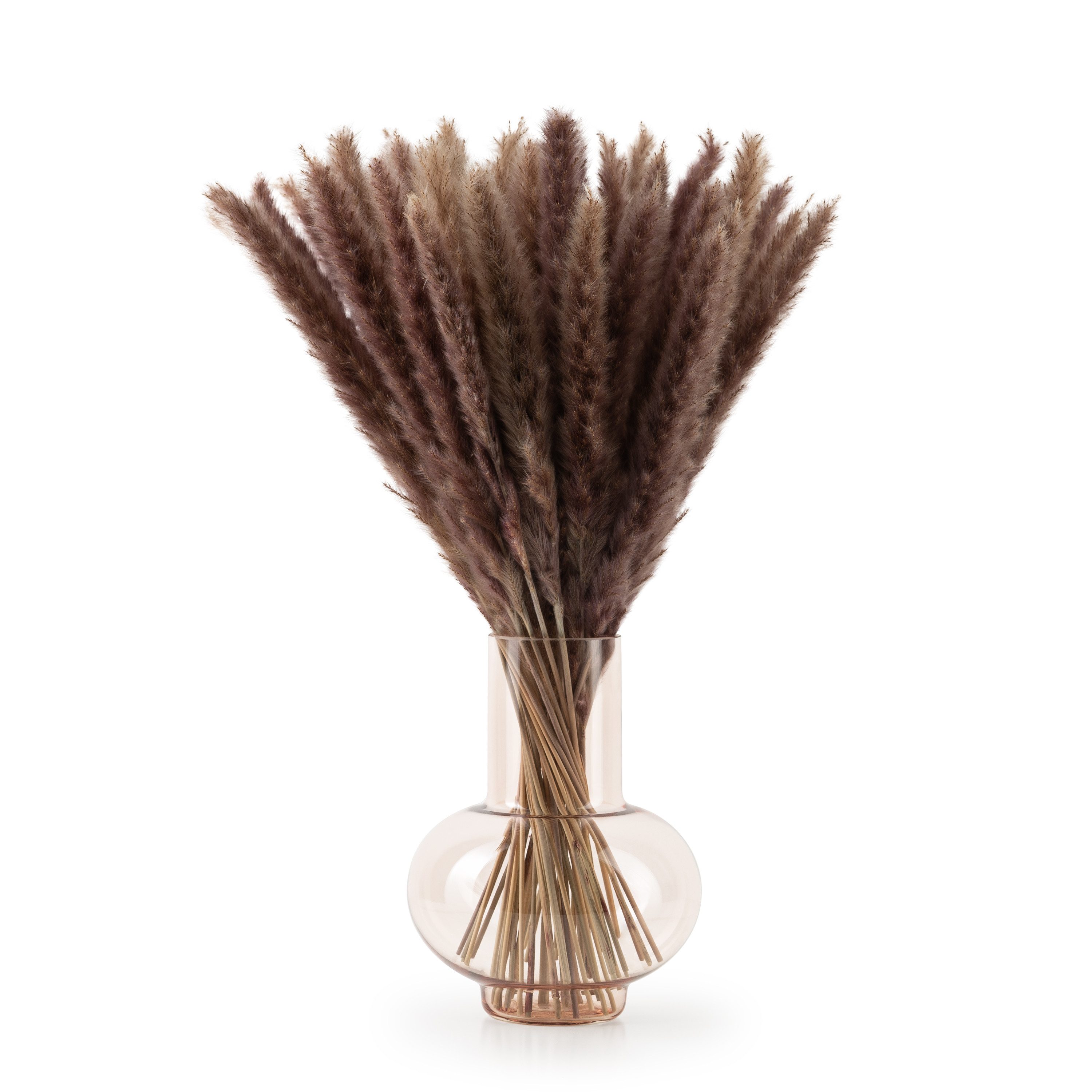 Kunstpflanze getrocknet - Trockenblumen, Ideales Dekoelement Pampasgras, Bl günstig online kaufen