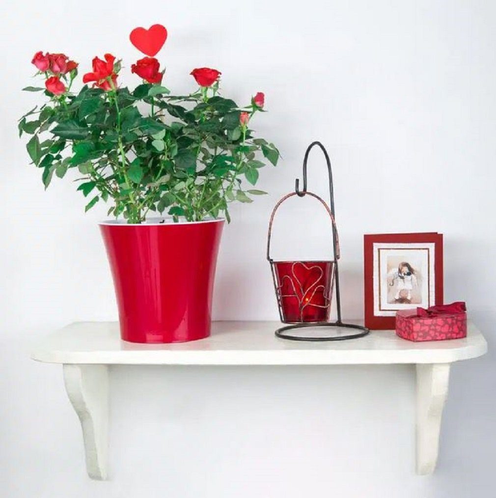 Santino div. Farben + selbstbewässernde rot-weiß Größen "Arte" St) (1 - Blumentopf Pflanztöpfe