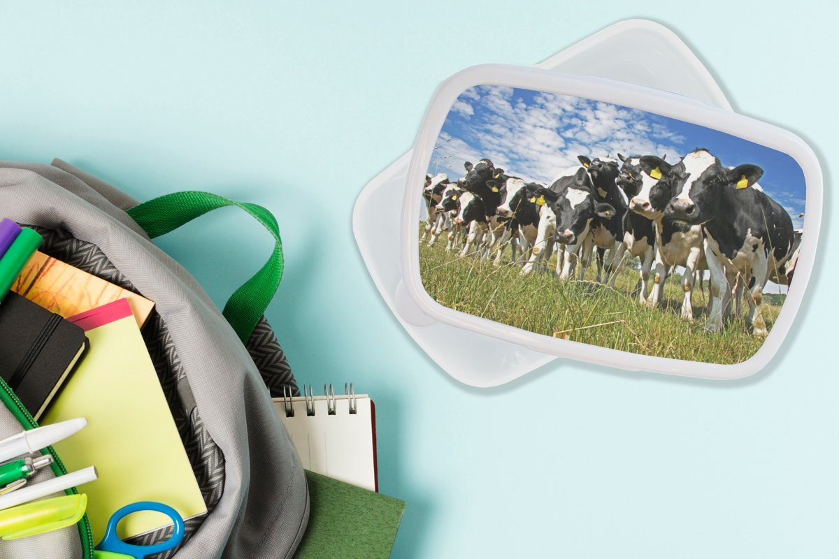 für Wiese und Kunststoff, Mädchen für Brotdose, Jungs Lunchbox (2-tlg), - Kühe und Gras - - Brotbox MuchoWow Tiere, Erwachsene, weiß Kinder