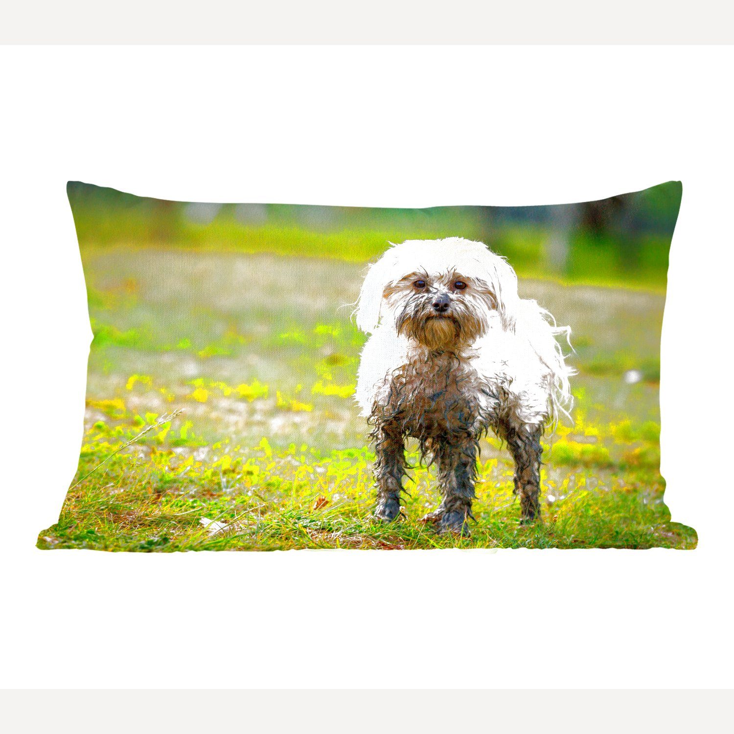 MuchoWow Dekokissen Ein kleiner Malteserhund, halb mit Schlamm bedeckt, Wohzimmer Dekoration, Zierkissen, Dekokissen mit Füllung, Schlafzimmer