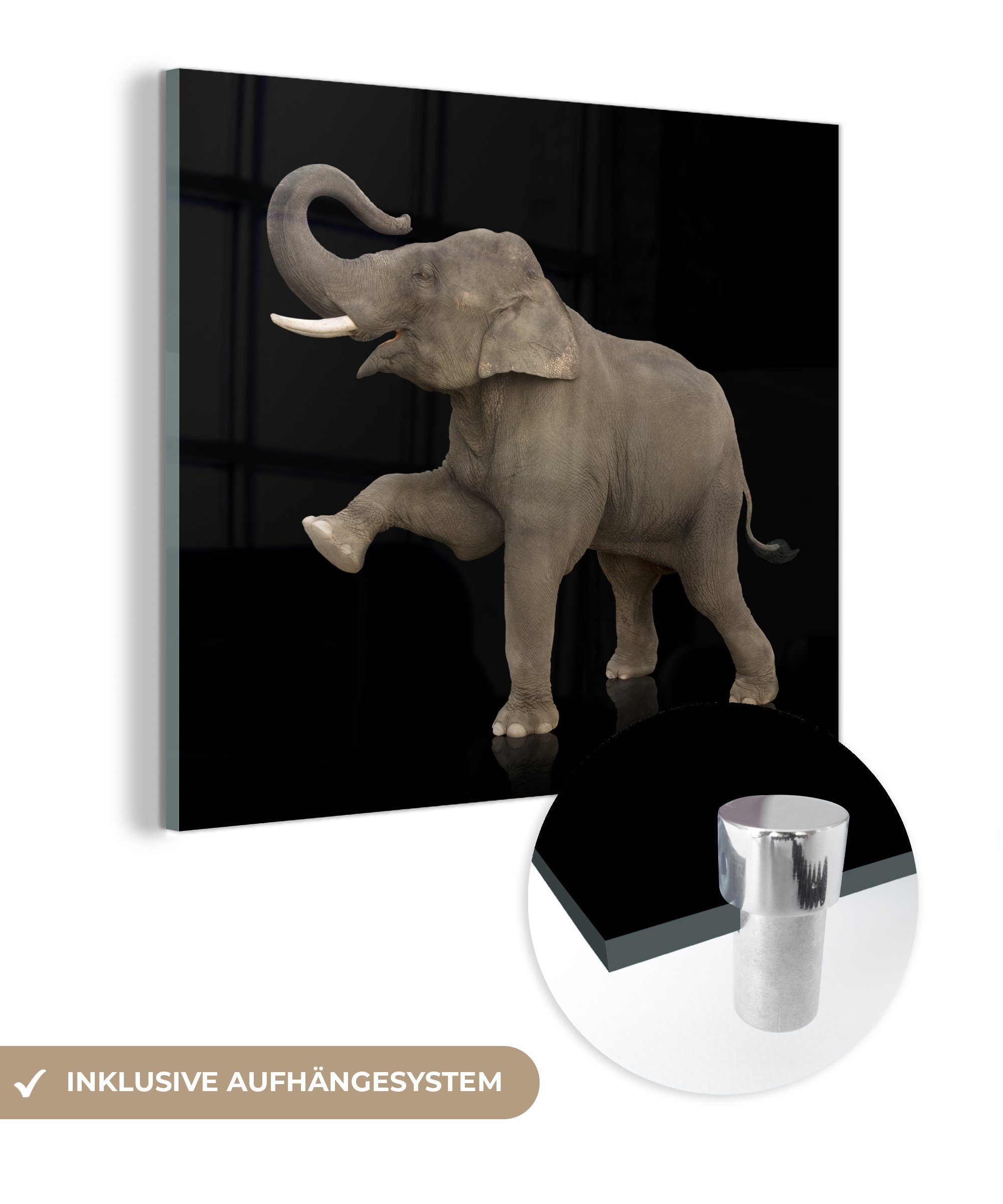 Wandbild - - Wanddekoration auf - Glasbilder Elefant Schwarz MuchoWow Glas - auf - Tiere Bilder Glas Foto Acrylglasbild St), (1 Porträt, -