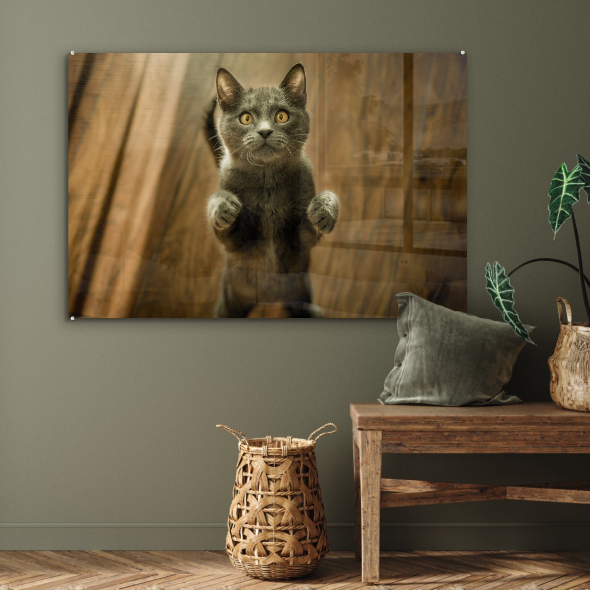 MuchoWow Acrylglasbild Katzen Grau, - & - (1 St), Schlafzimmer Boden Wohnzimmer Acrylglasbilder