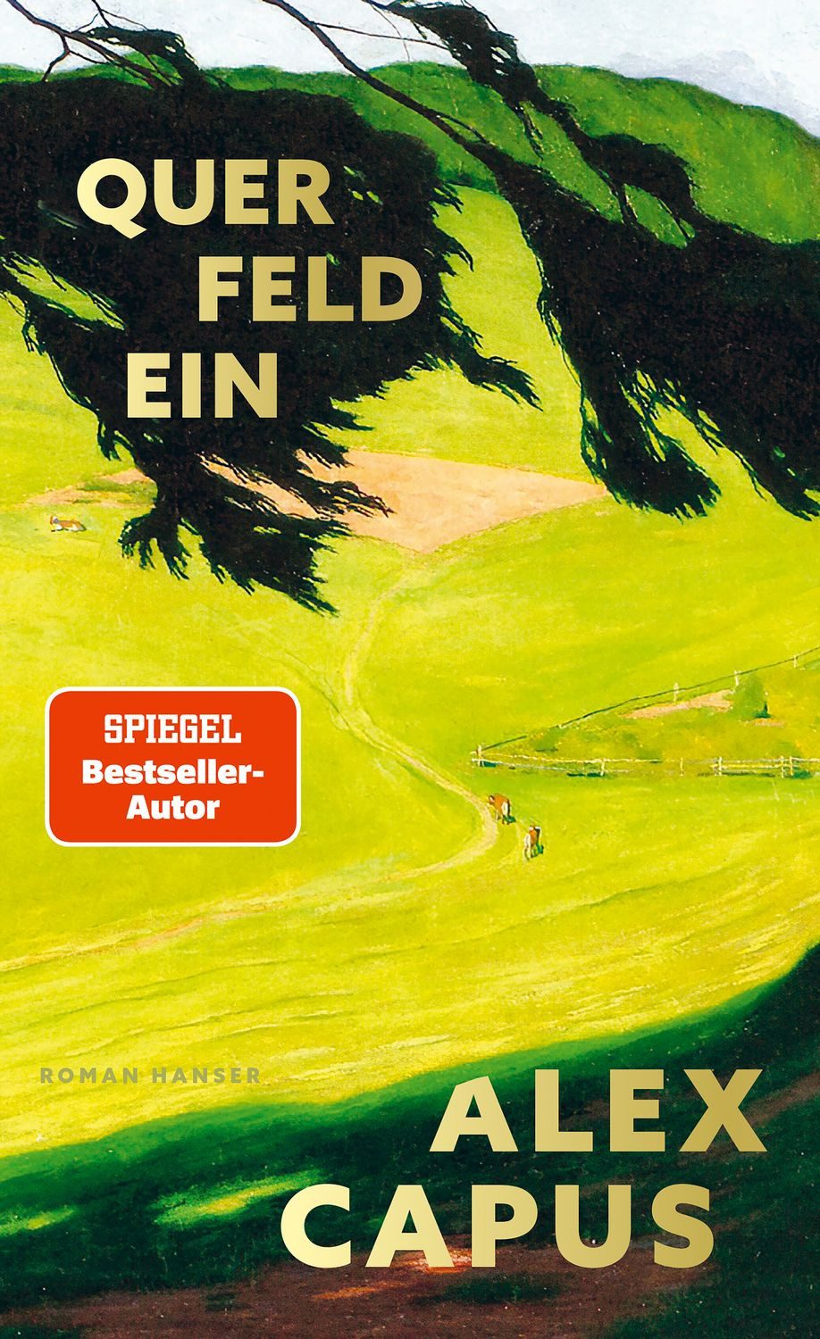 Querfeldein / Alex Capus