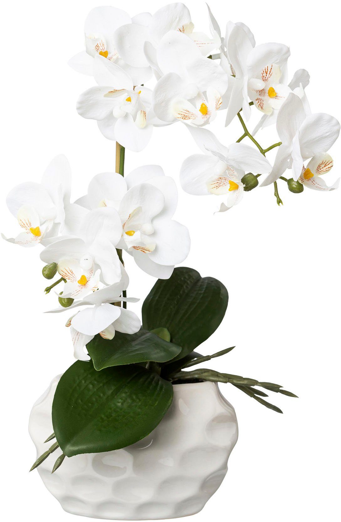 Kunstorchidee Deko-Orchidee Phalaenopsis im Keramiktopf