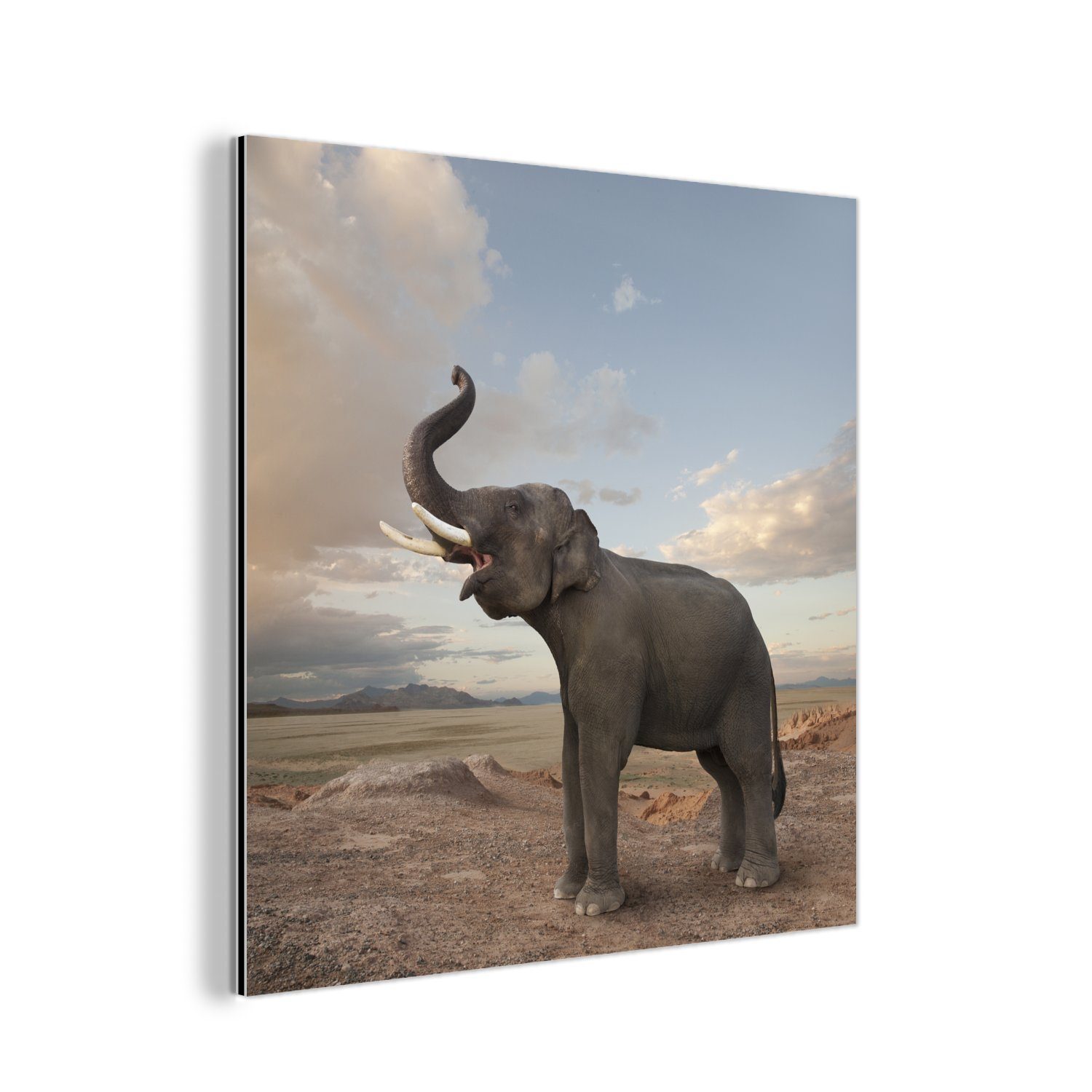 MuchoWow Metallbild Trompetender Elefant deko Gemälde Wüste, Aluminium der (1 Alu-Dibond-Druck, in aus St), Metall