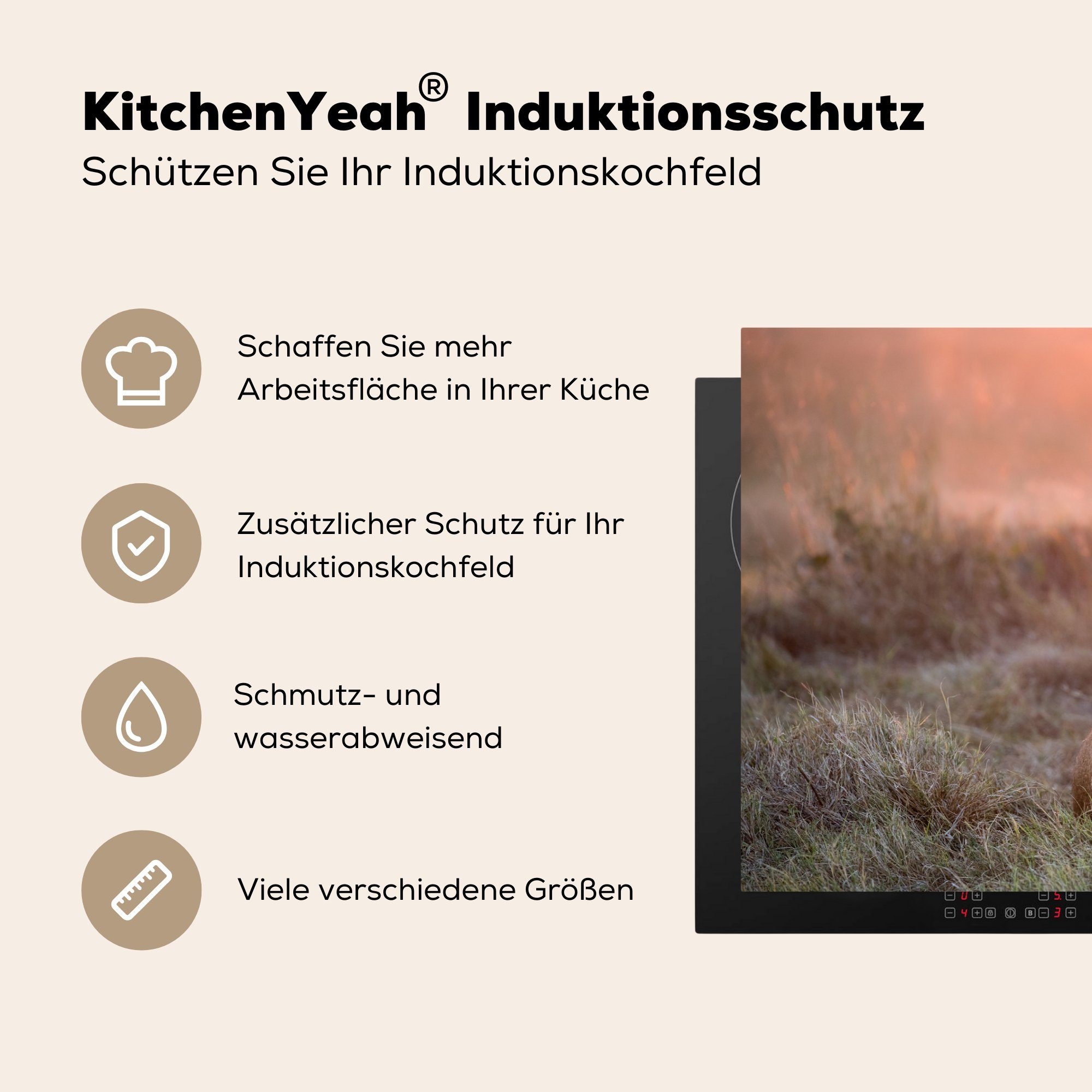 MuchoWow Herdblende-/Abdeckplatte Löwe - Sonne Schutz küche, Gras, (1 Vinyl, für Ceranfeldabdeckung 81x52 tlg), Induktionskochfeld - die cm