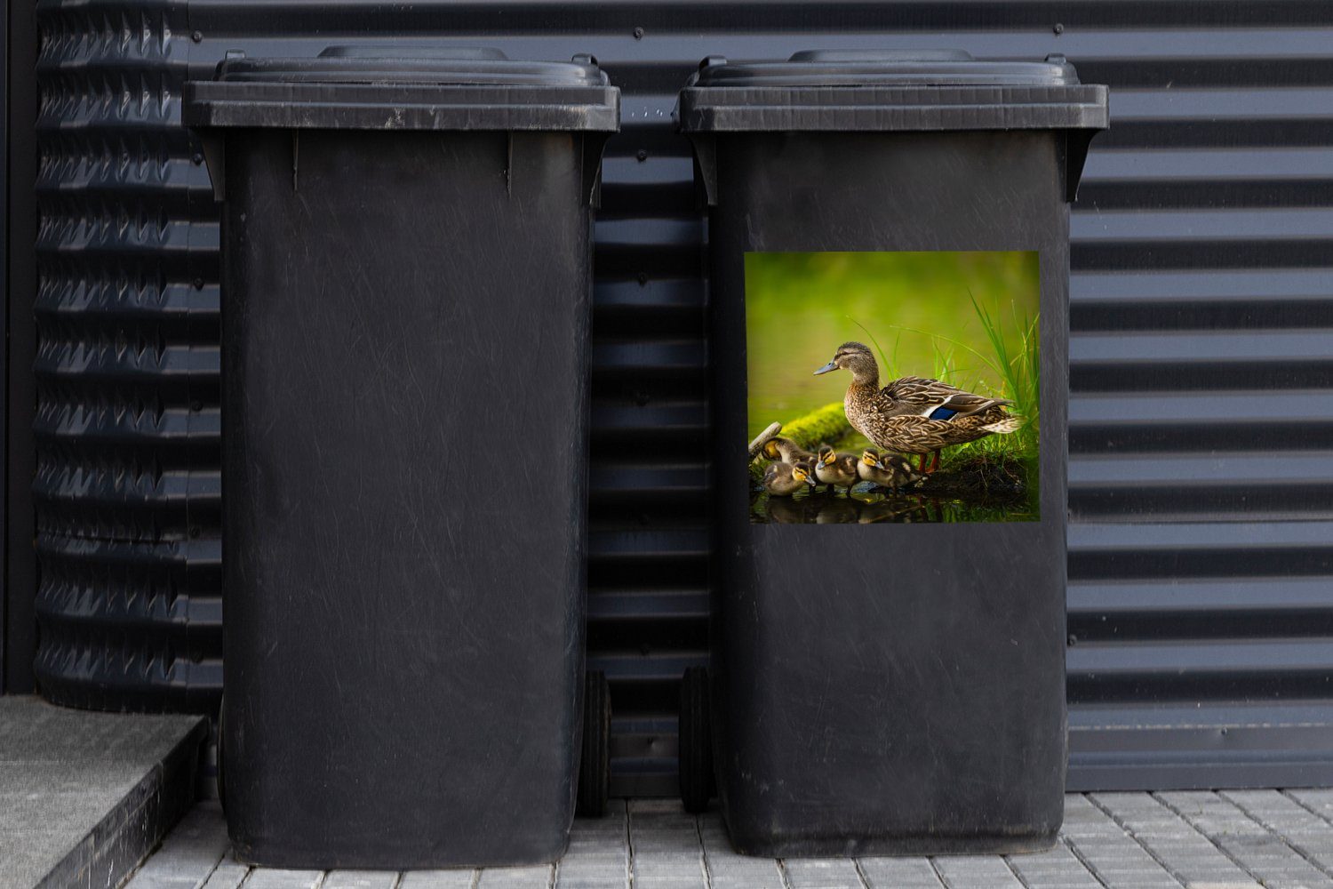 Wandsticker MuchoWow Moos St), - - Mülleimer-aufkleber, Container, Wasser Mülltonne, Sticker, Zweig - - (1 Vögel Ente Abfalbehälter