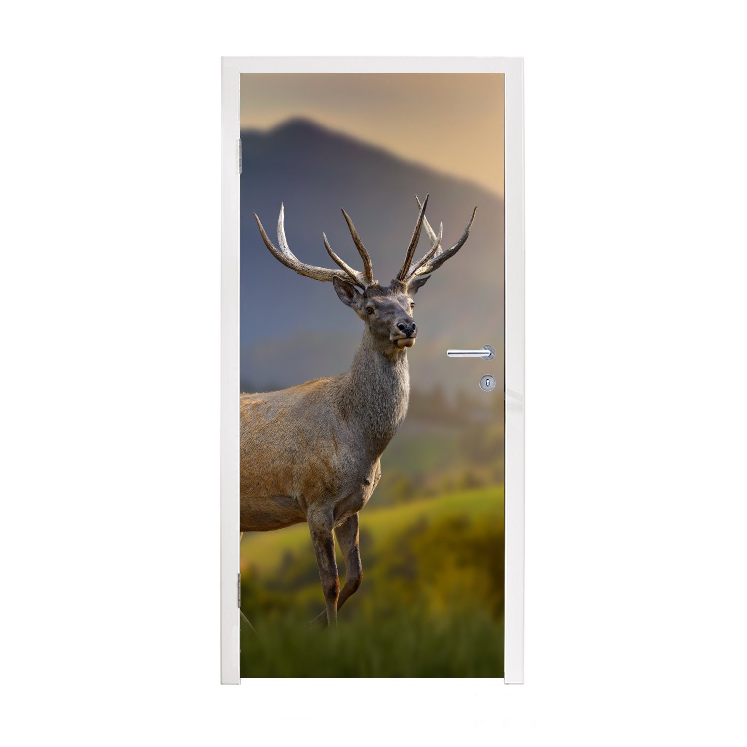 MuchoWow Türtapete Hirsche - Berg - Gras - Sonnenuntergang - Tiere - Natur, Matt, bedruckt, (1 St), Fototapete für Tür, Türaufkleber, 75x205 cm