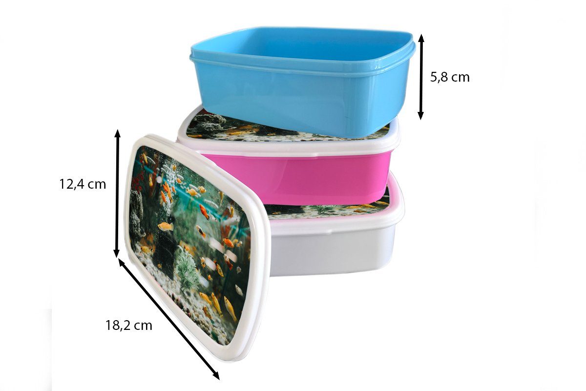 und einem für Lunchbox Mädchen Kinder und Brotdose, Erwachsene, MuchoWow Fische für Brotbox Aquarium, weiß in Jungs Kunststoff, Kleine (2-tlg),