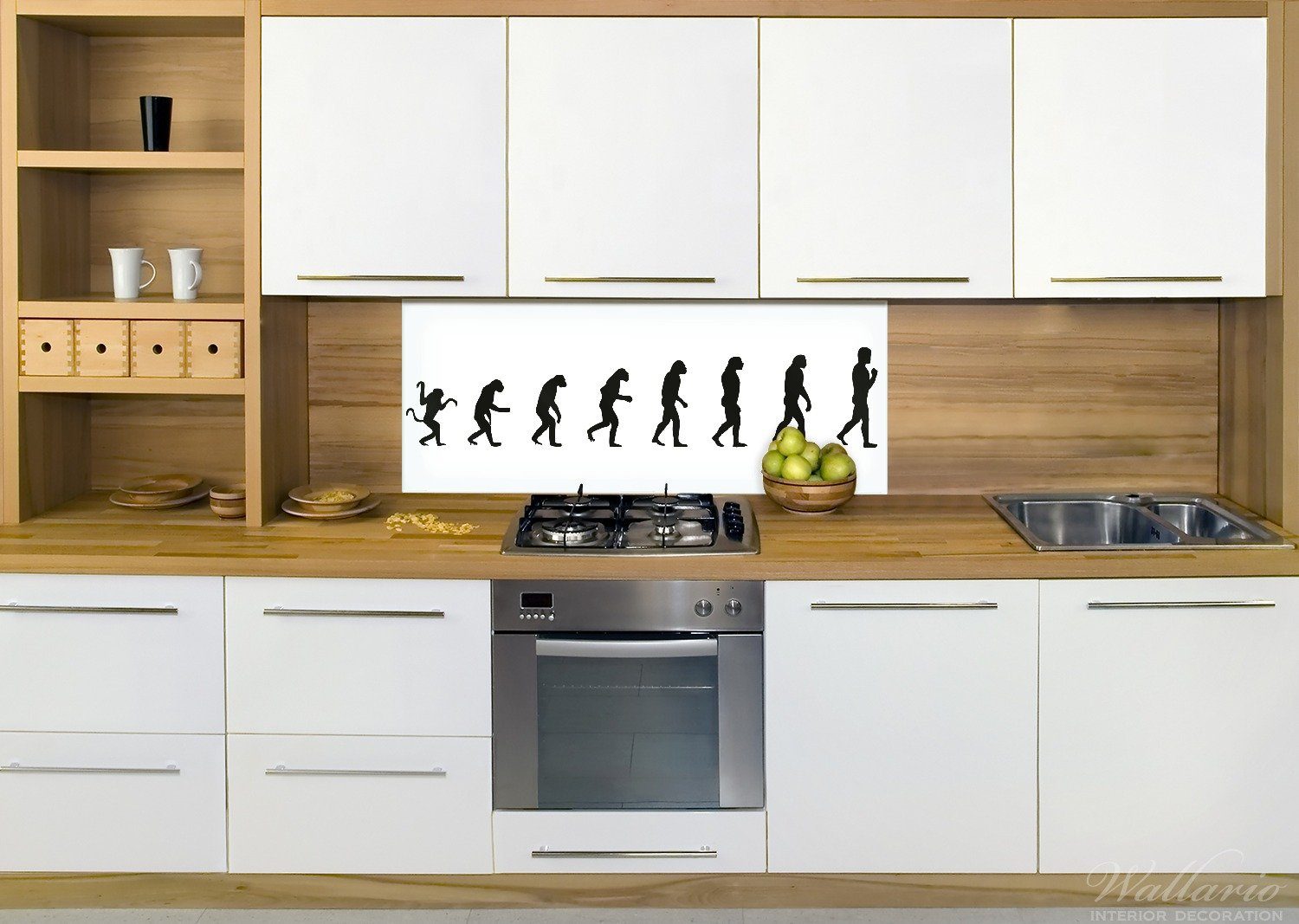 Menschen, Wallario Küchenrückwand (1-tlg) Entwicklung - Die des Evolution