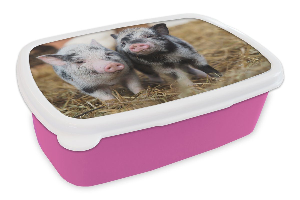 MuchoWow Lunchbox Schwein - Tiere - Ferkel, Kunststoff, (2-tlg), Brotbox für Erwachsene, Brotdose Kinder, Snackbox, Mädchen, Kunststoff rosa