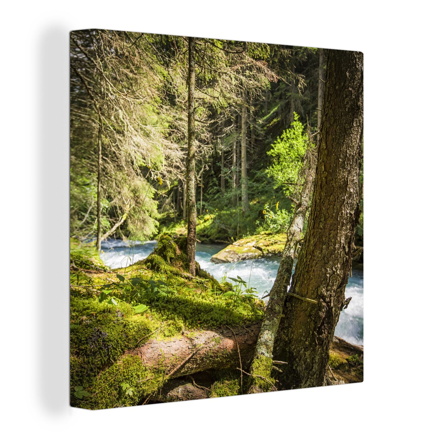 OneMillionCanvasses® Leinwandbild Flussbett in den Wäldern des Nationalparks Hohe Tauern, (1 St), Leinwand Bilder für Wohnzimmer Schlafzimmer