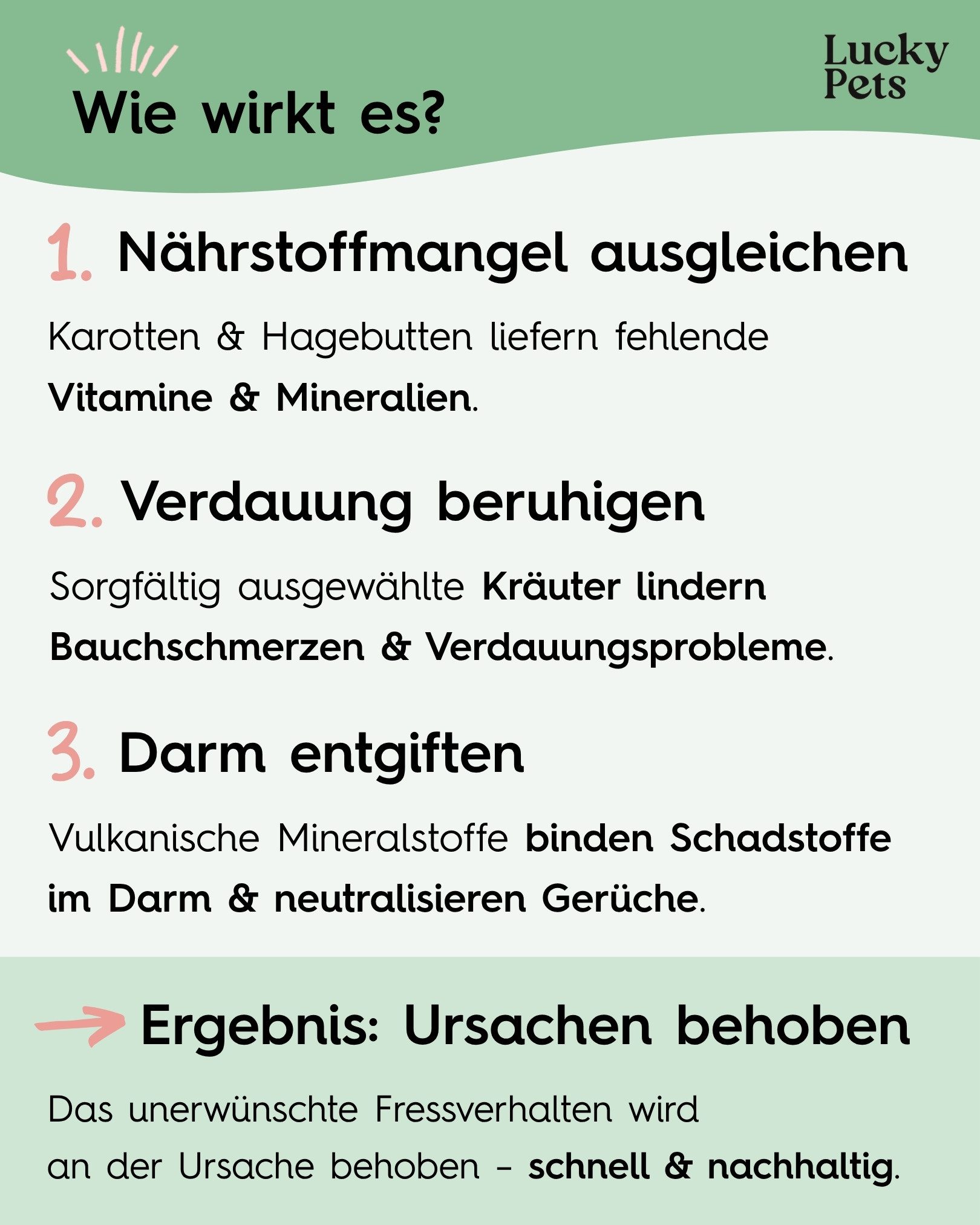 Lucky Pets Gras & Kotfresser Tabletten für Hunde - pflanzlich, magenschonend, Nahrungsergänzungsmittel für: Hunde