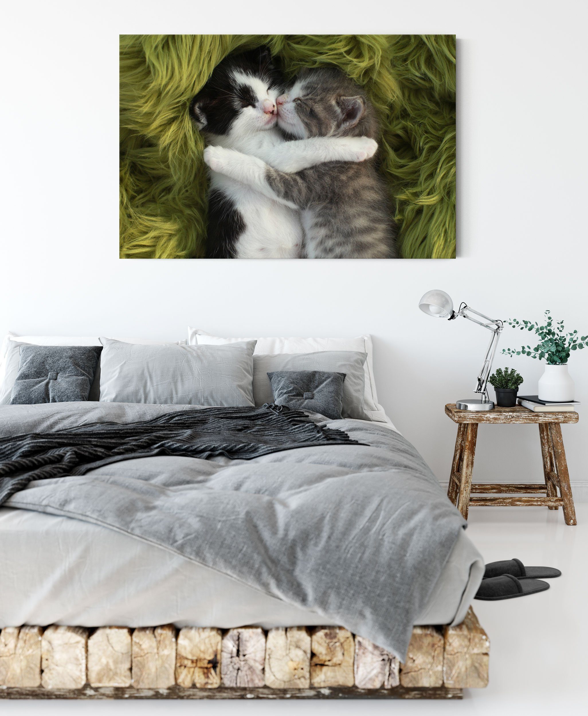 inkl. Kätzchen (1 Leinwandbild Zwei Zackenaufhänger Pixxprint bespannt, kuschelnde Kätzchen, kuschelnde fertig Leinwandbild St), Zwei