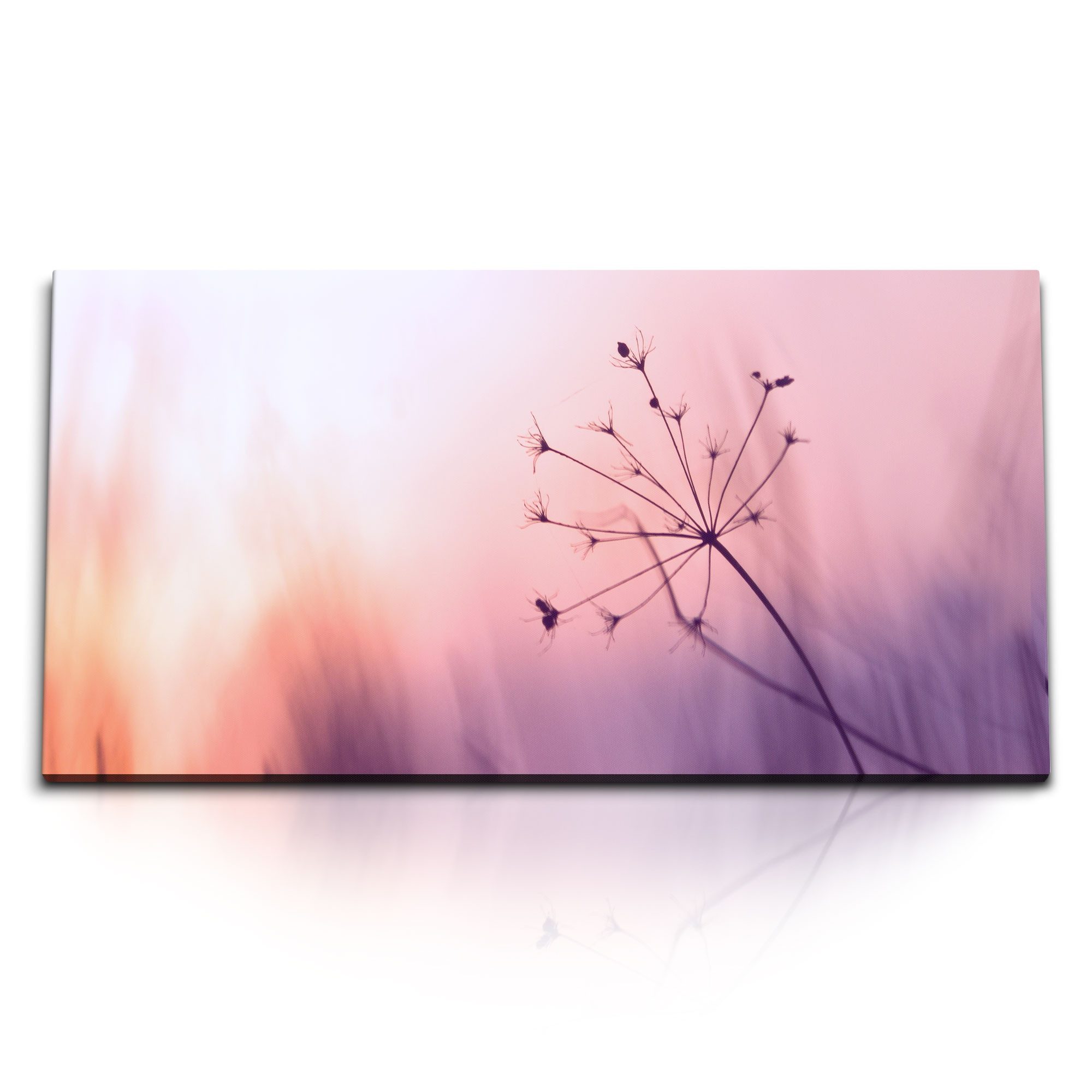 Leinwandbild Kunstdruck Bilder 120x60cm Sonnenuntergang Natur Gewächs Rosa Blumen