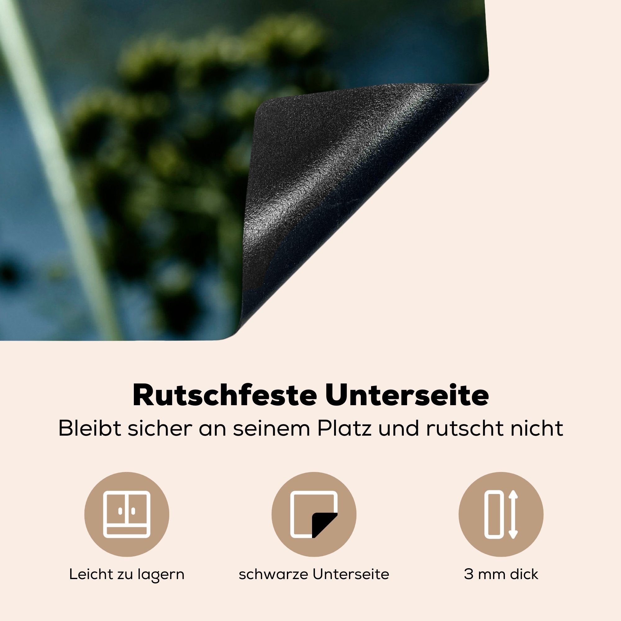 78x78 Herdblende-/Abdeckplatte in für tlg), der Vinyl, der (1 Natur, Liebstöckelpflanze Ceranfeldabdeckung, küche cm, Foto MuchoWow wachsenden Arbeitsplatte