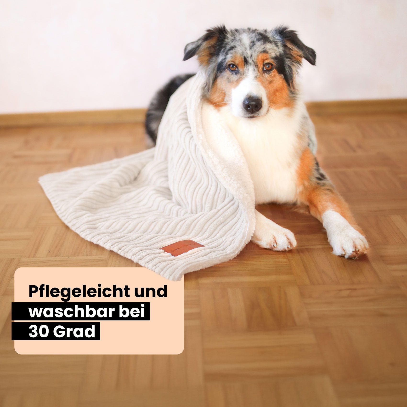 Wahre Tierliebe Tierdecke Premium Kuscheldecke Fluffy, günstig online kaufen