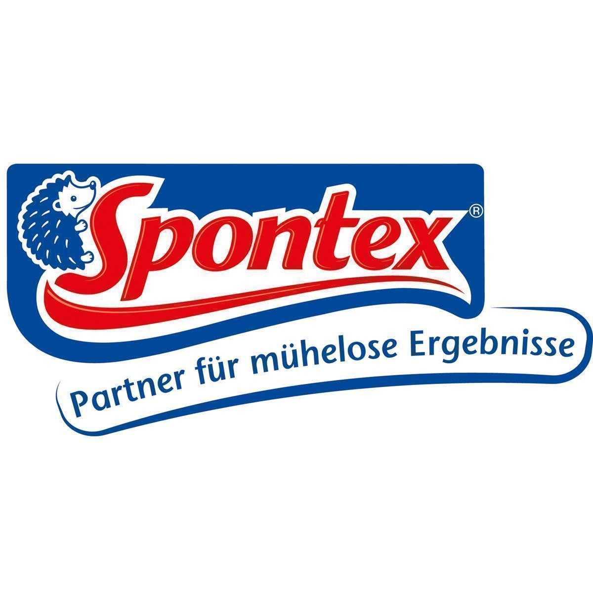SPONTEX Stahlschwamm Spontex 3343 Spontex Spirinett Topfreiniger, 3 St.