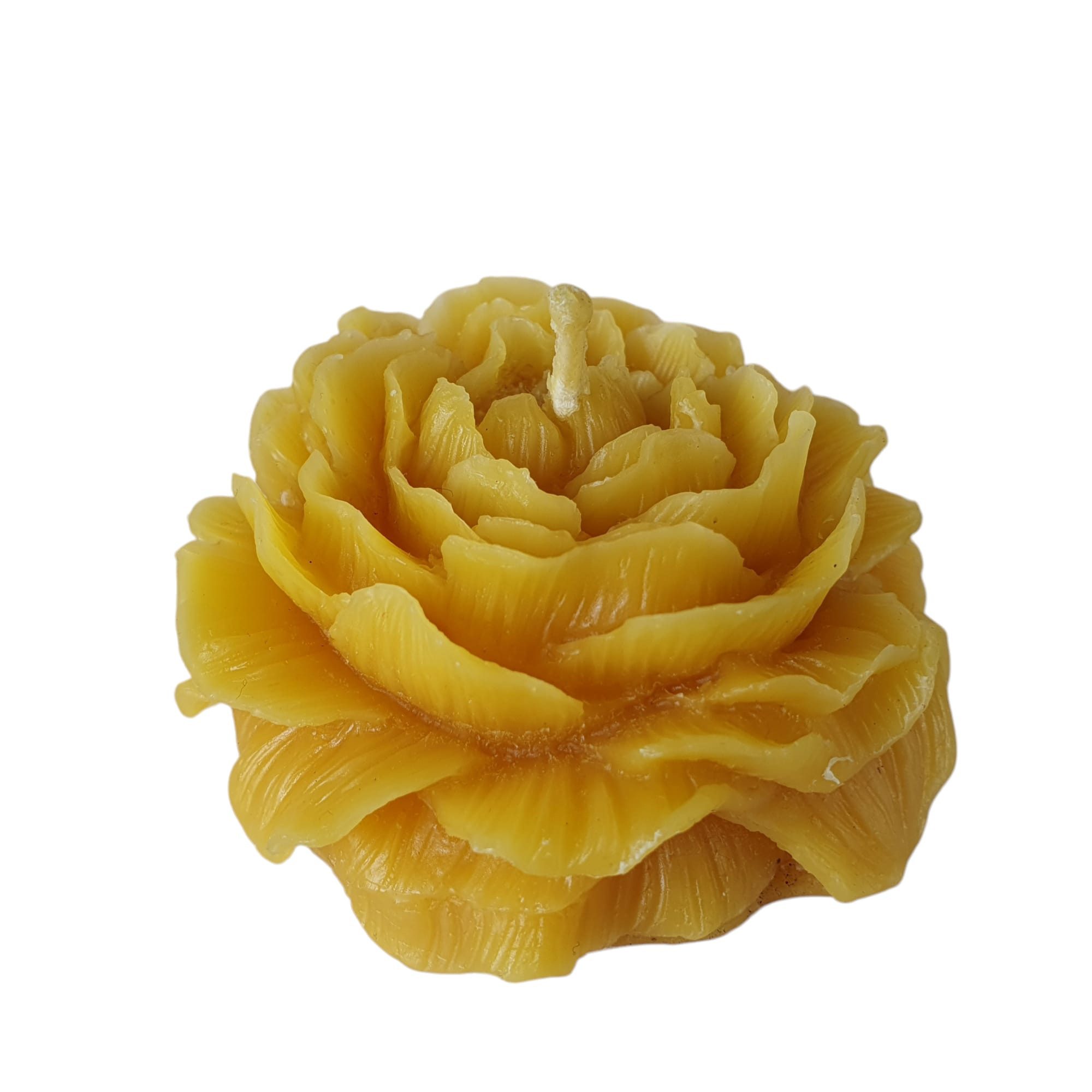 Aspinaworld Formkerze Rosen Kerze 3,5 cm – Kerze aus Bienenwachs